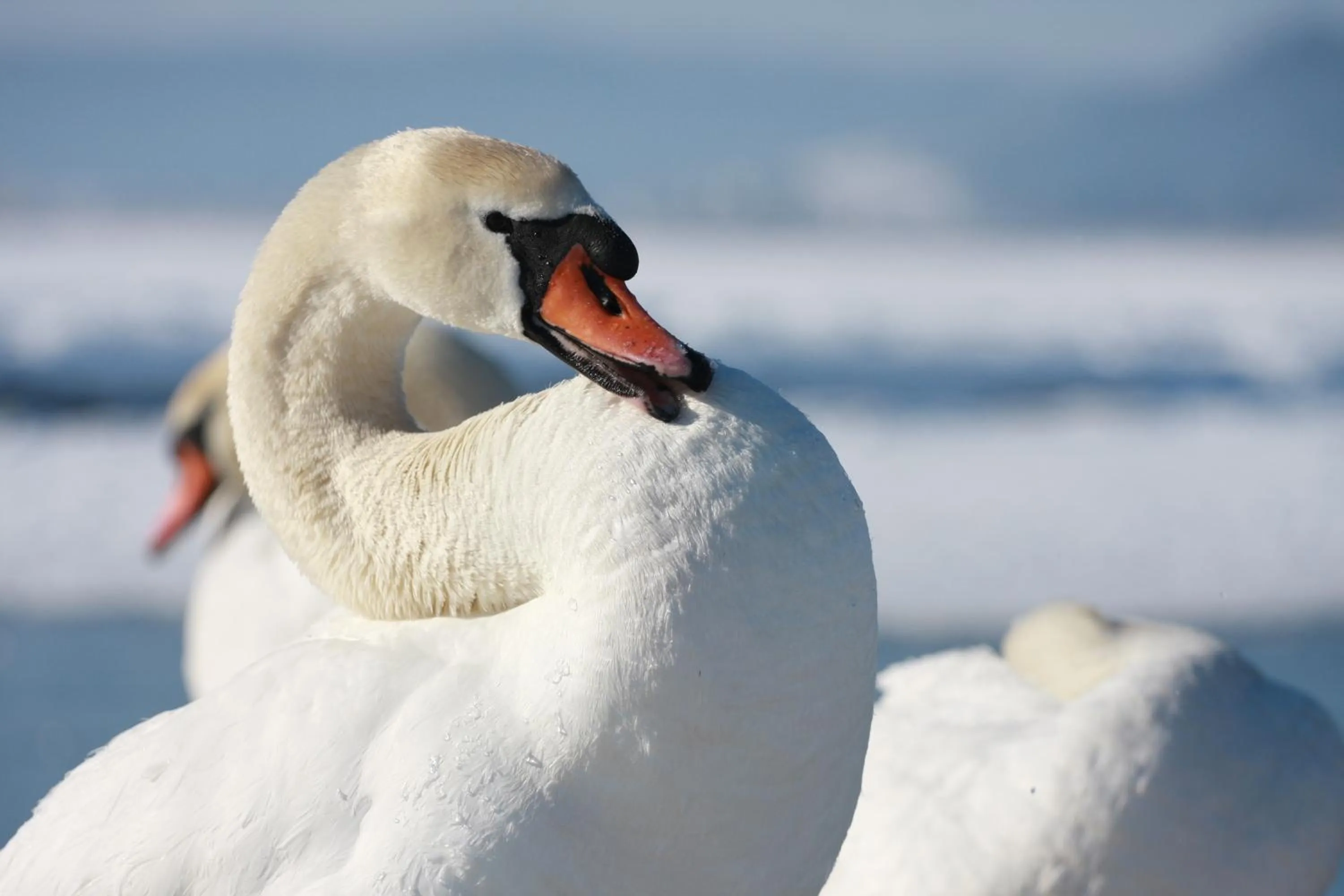 Off site in Hôtel-Restaurant Le Lac