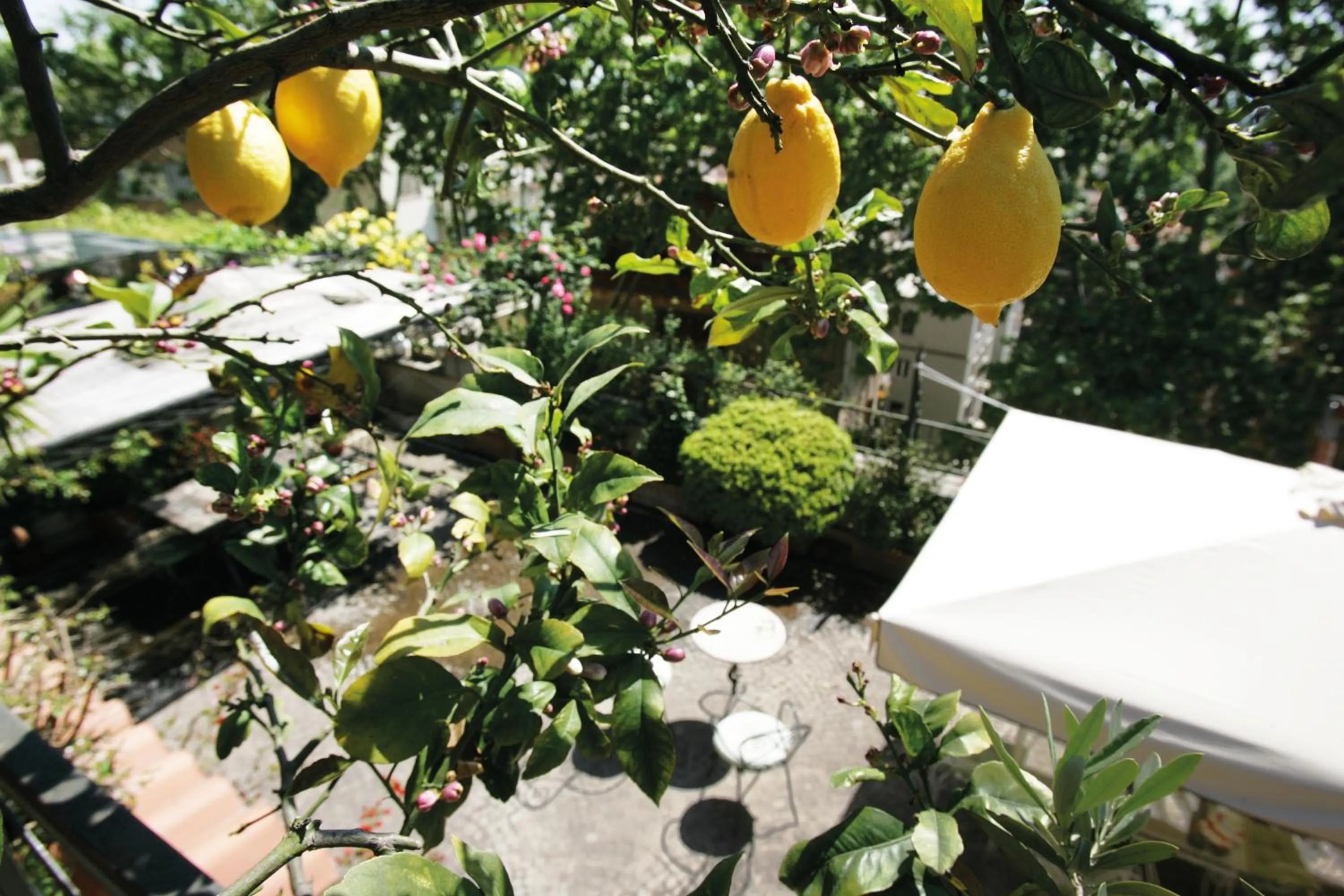 Balcony/Terrace in Il Boom B&B