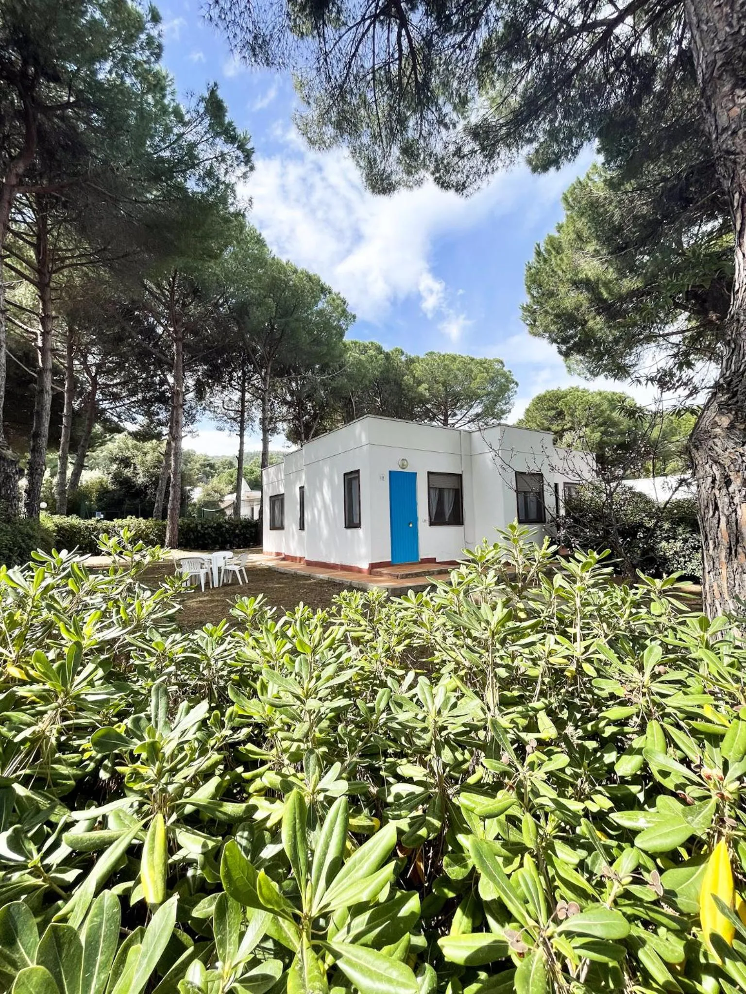 Garden in Hotel Mira