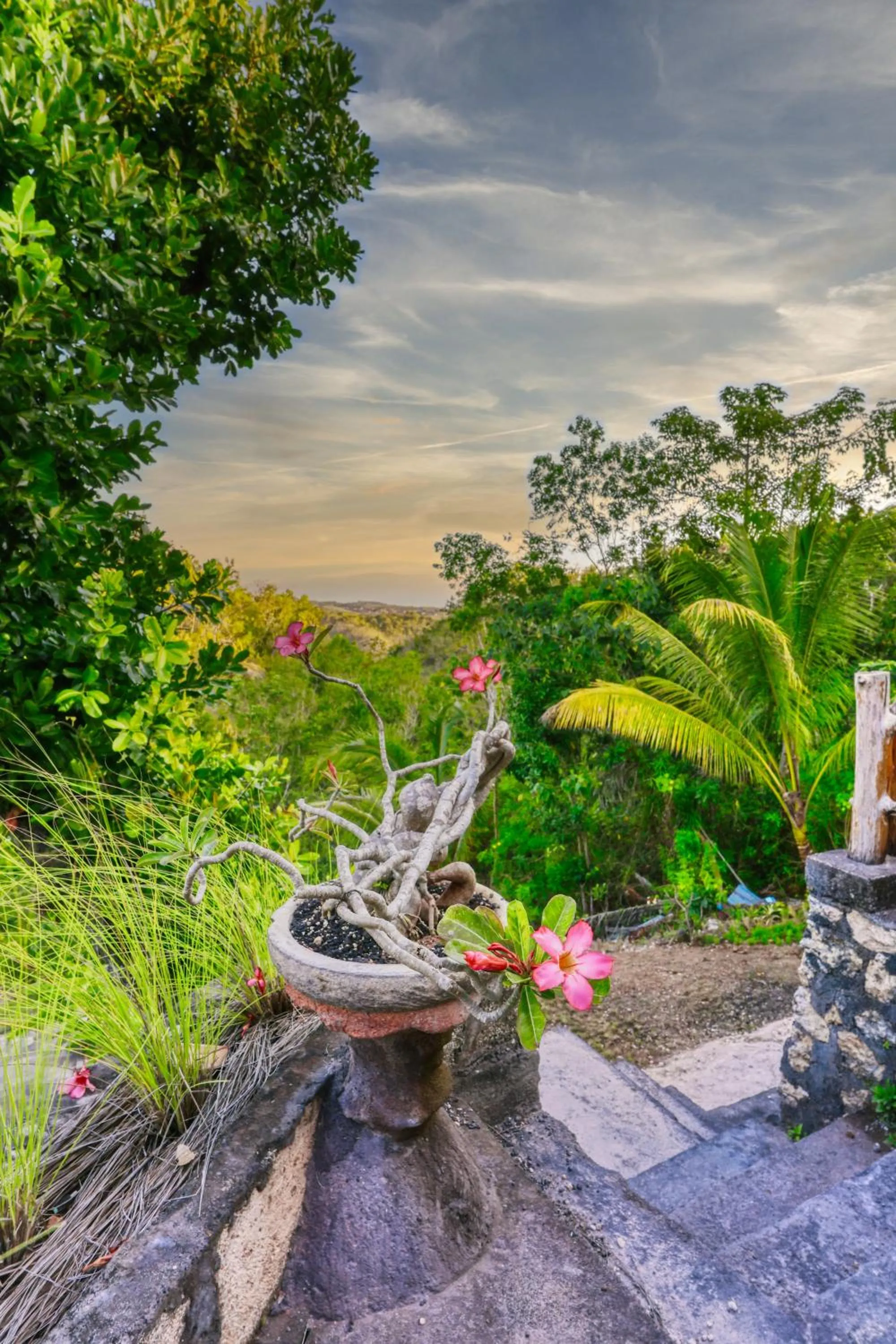 View (from property/room) in Butterfly Bungalow