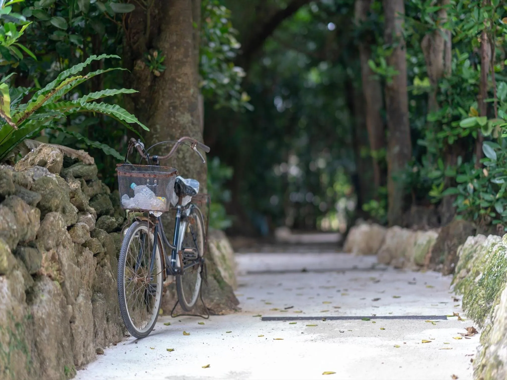 Nearby landmark in Hotel Tomas Nago