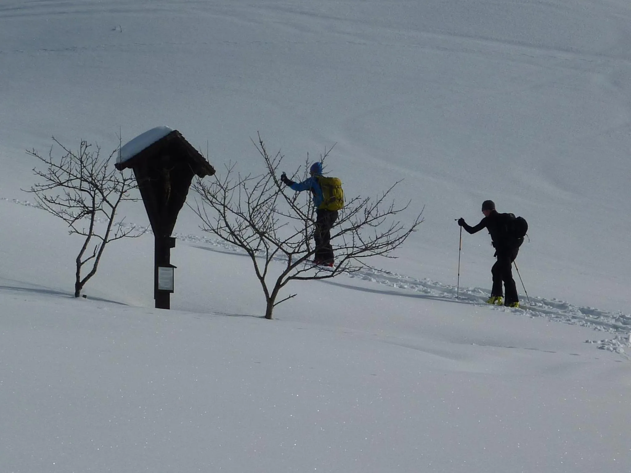 Skiing in Ferienwohnungen Durst Roswitha