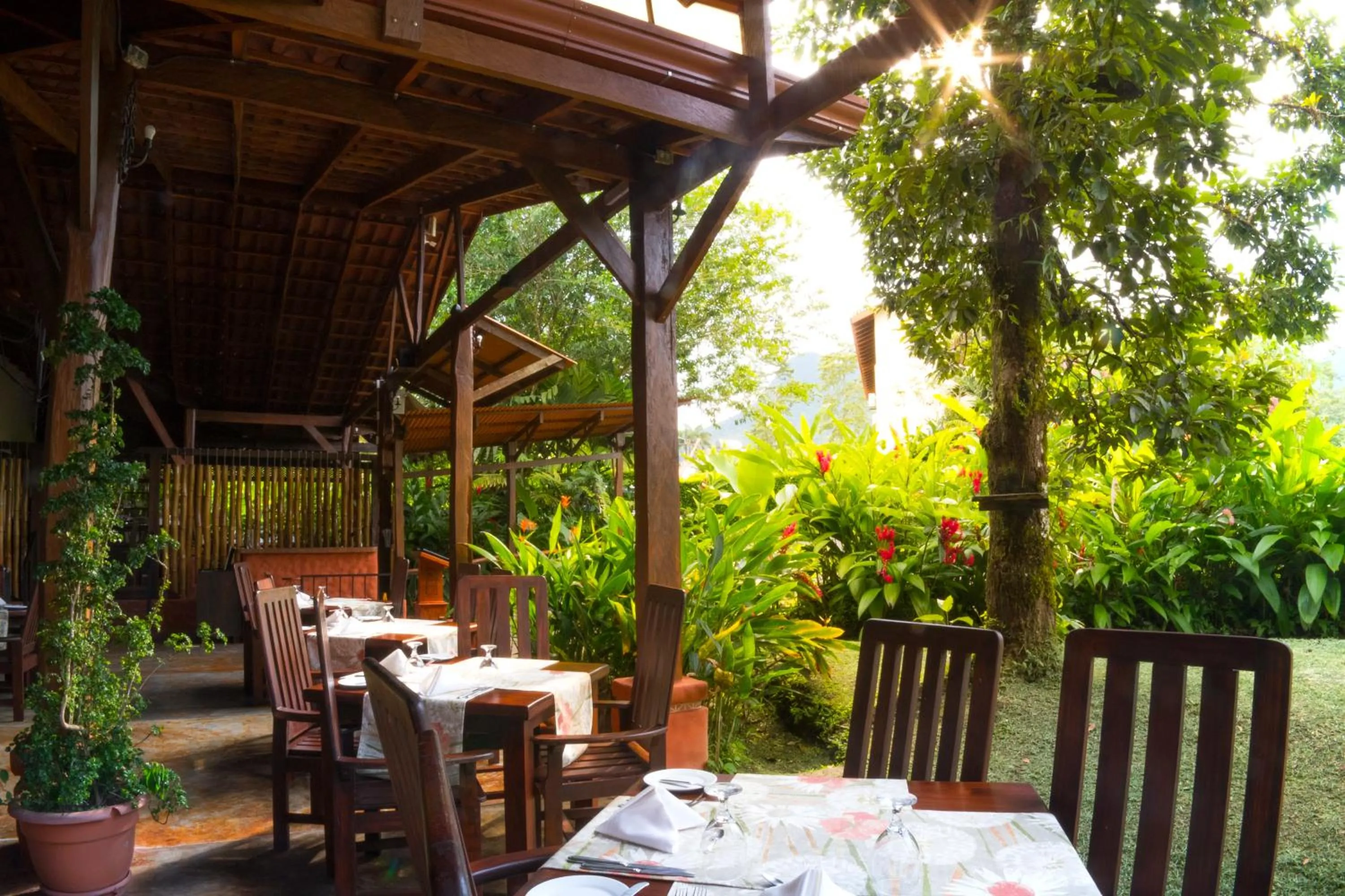 Restaurant/places to eat in Casa Luna Hotel & Spa