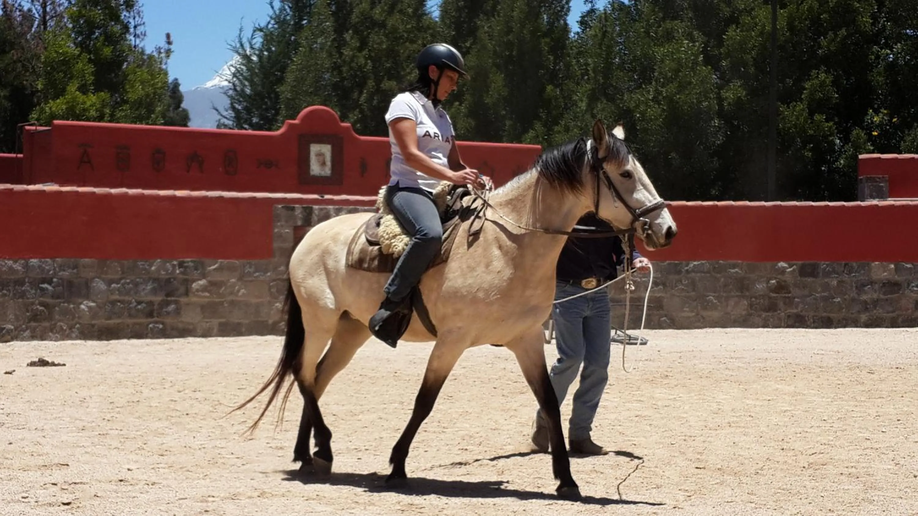 Horse-riding in Hacienda Hato Verde