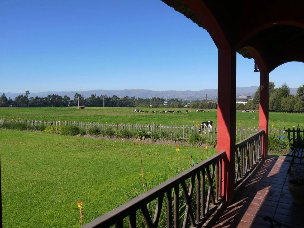 Garden in Hacienda Hato Verde