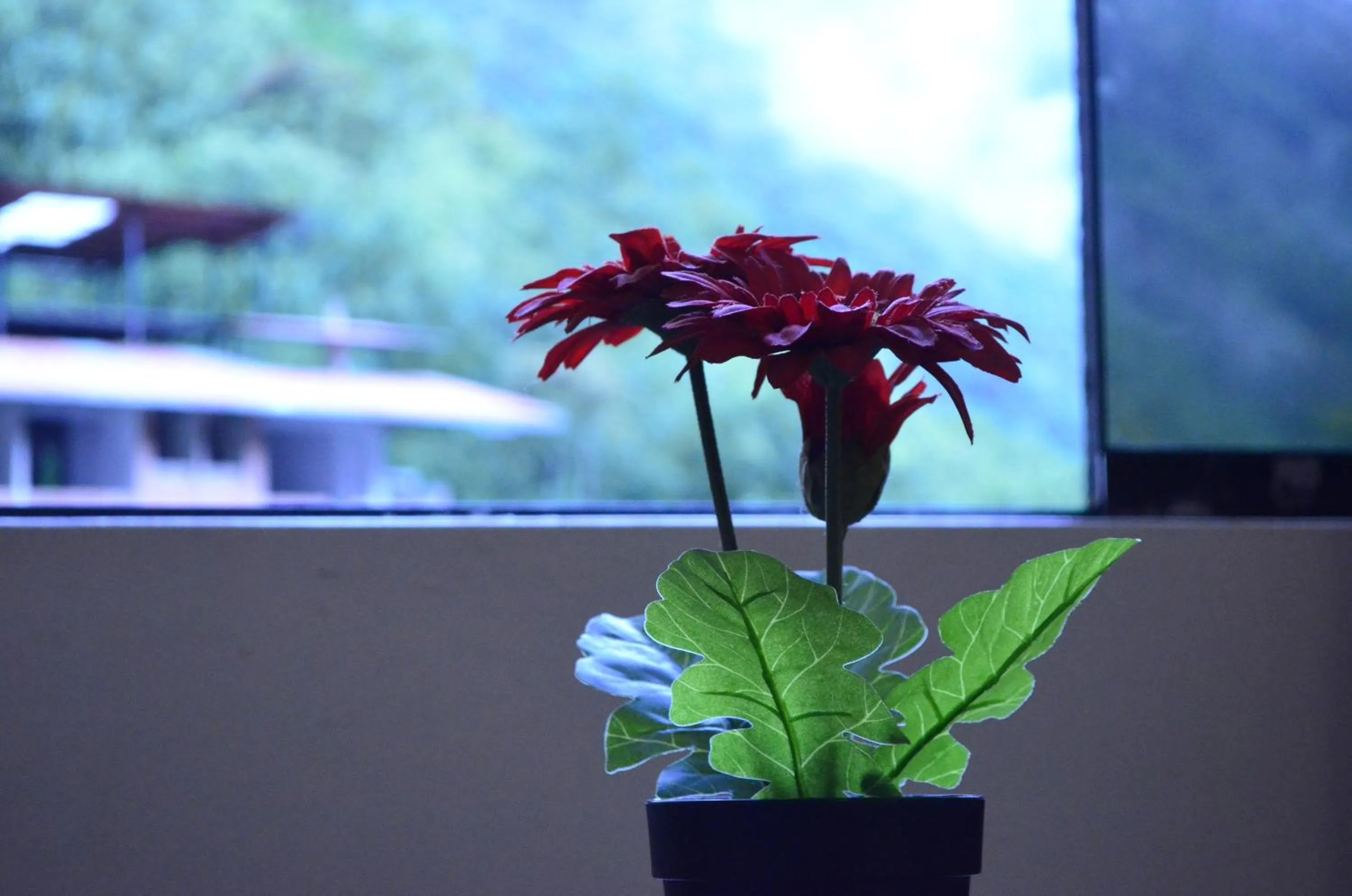 Viandina Machupicchu