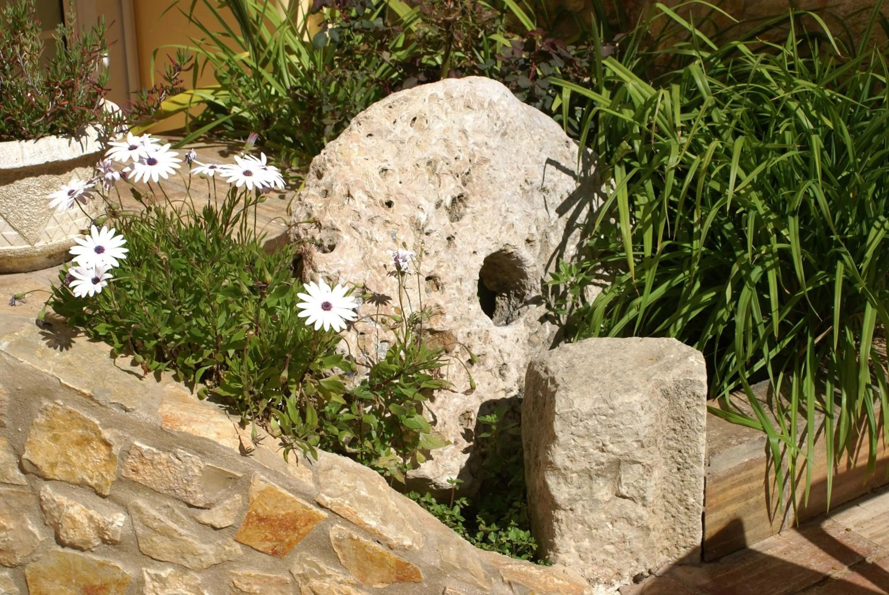Garden in Casa Paula Apartments