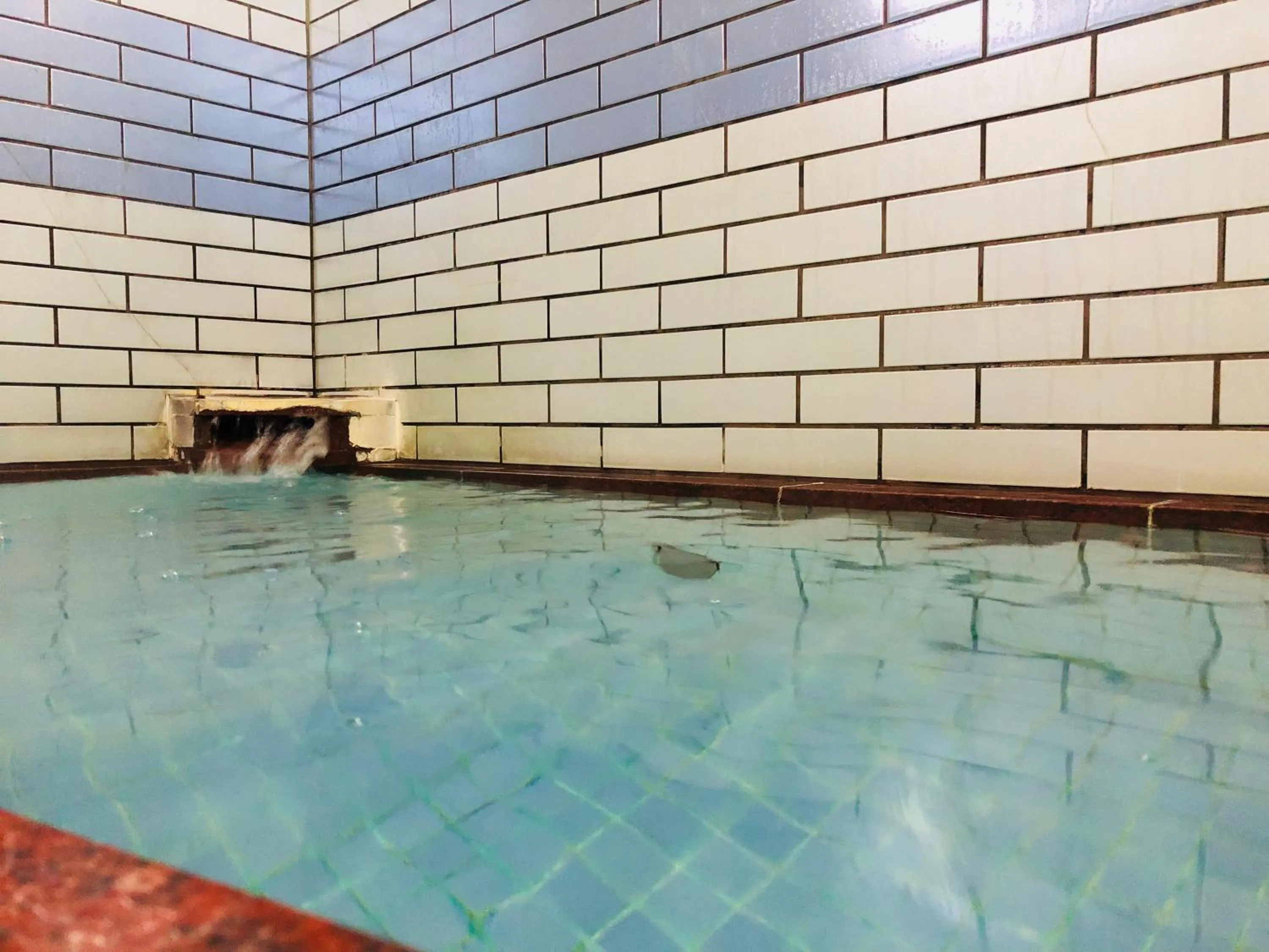 Hot Spring Bath in Ryokan Kaminaka