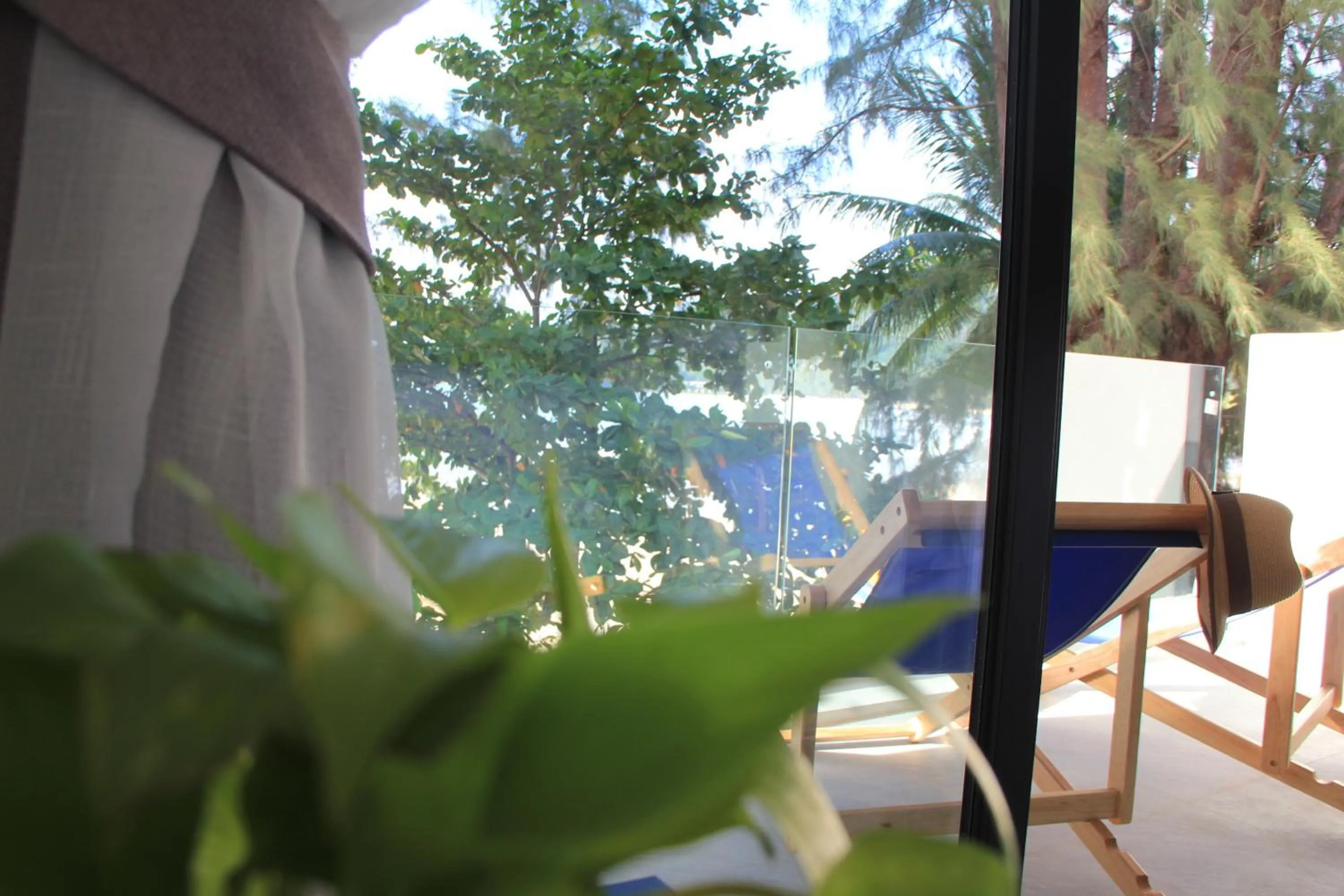 Thai Kamala Beach Front