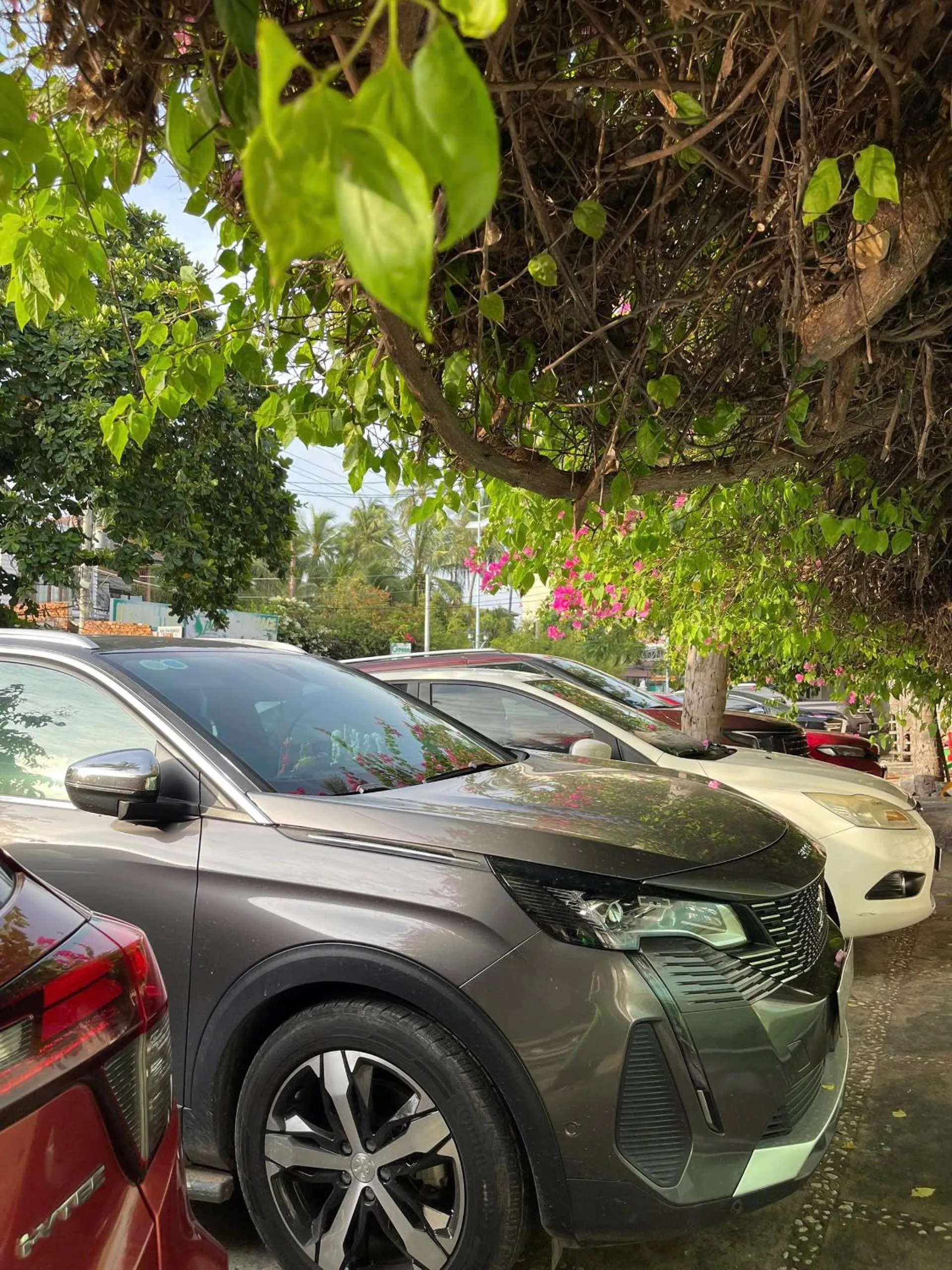 Parking in Full Moon Beach Resort