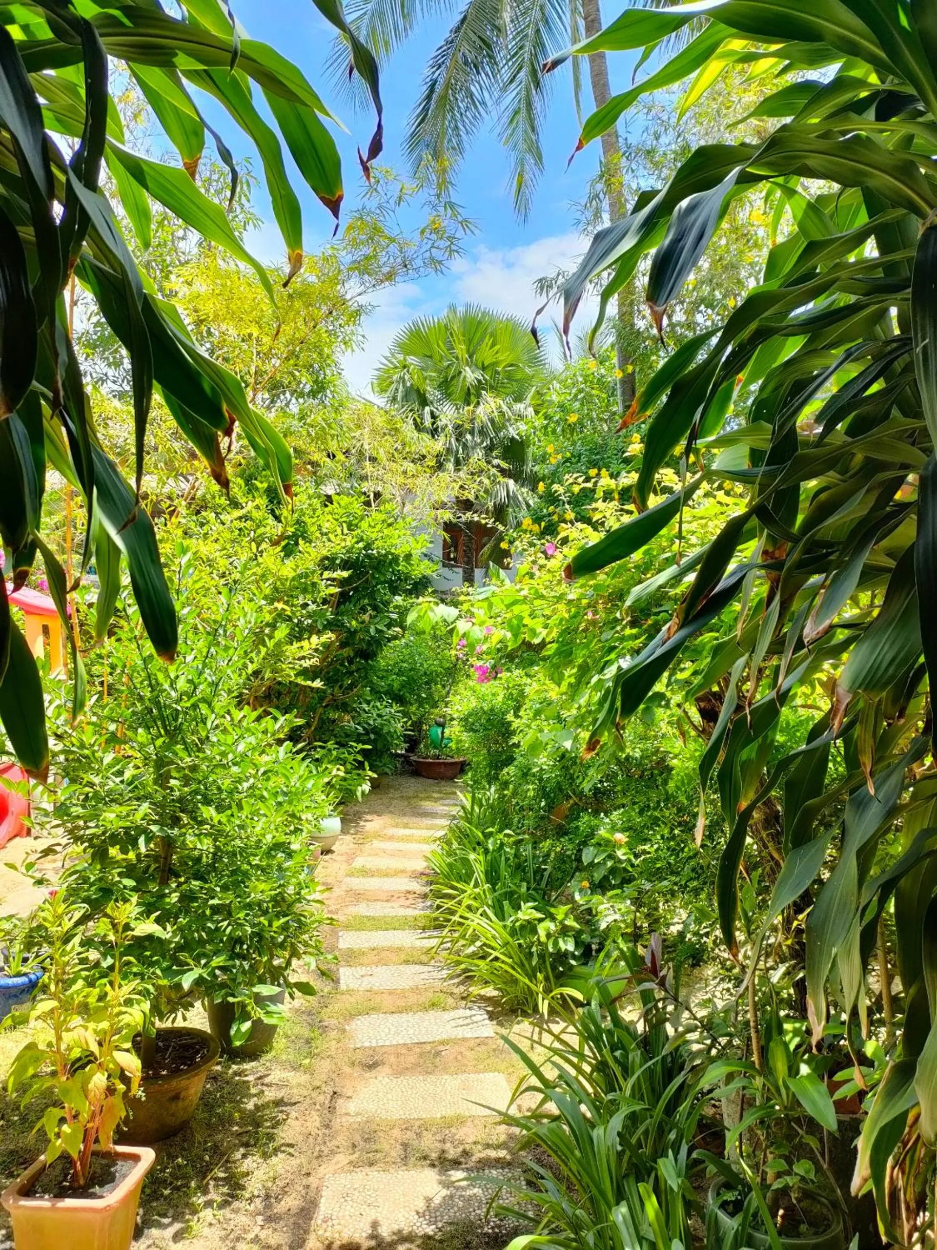 Garden view in Full Moon Beach Resort