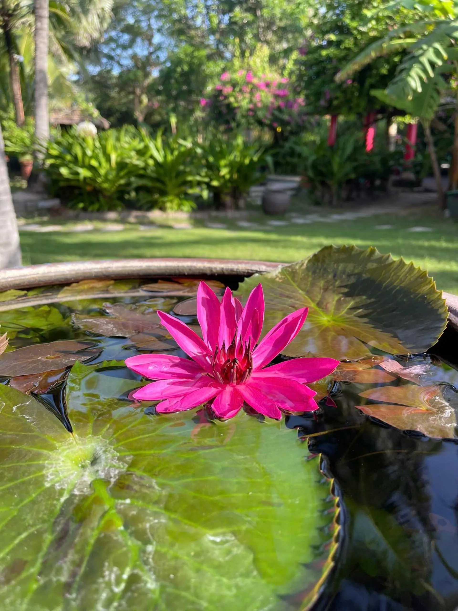 Garden view in Full Moon Beach Resort