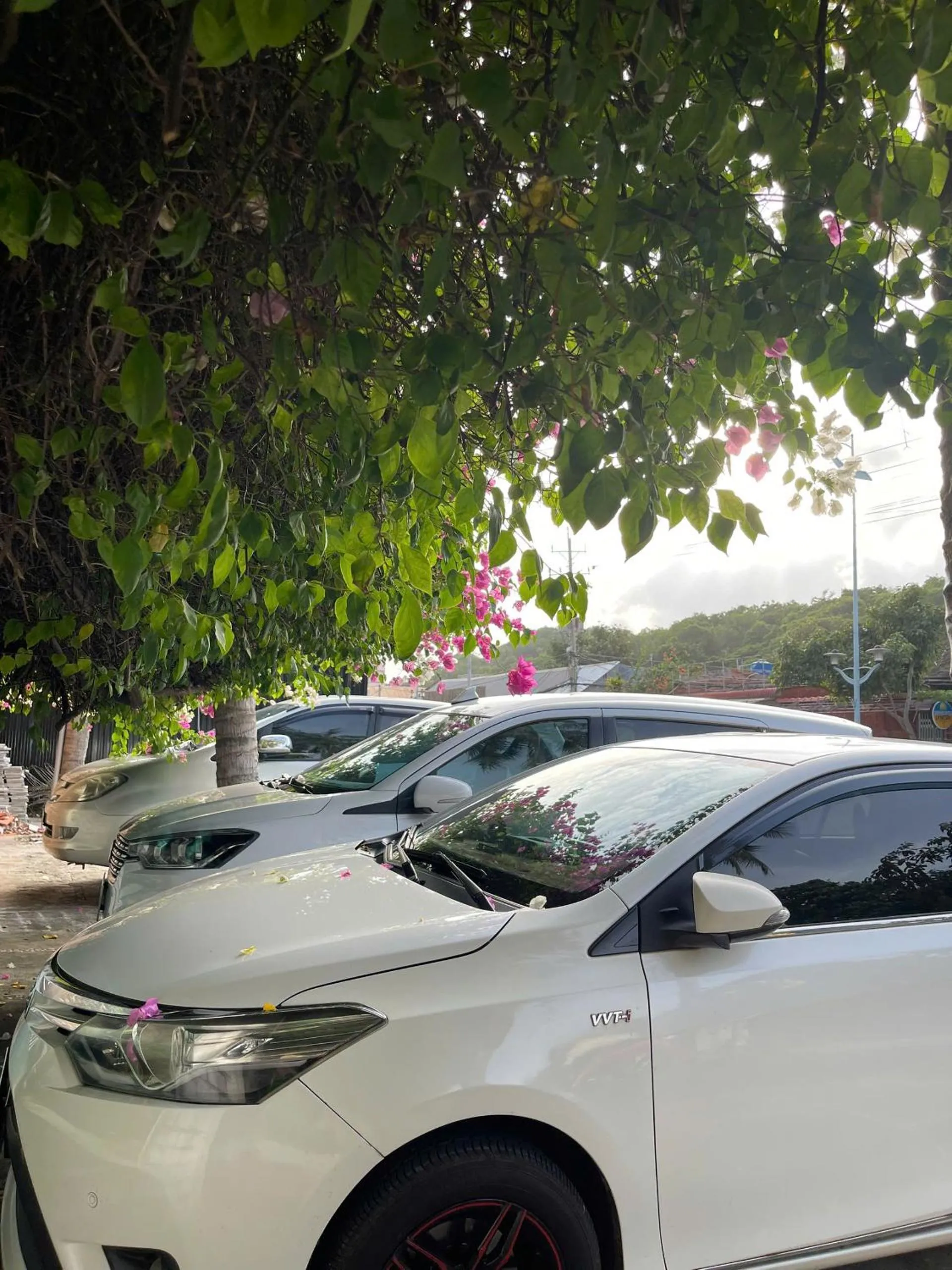 Parking in Full Moon Beach Resort