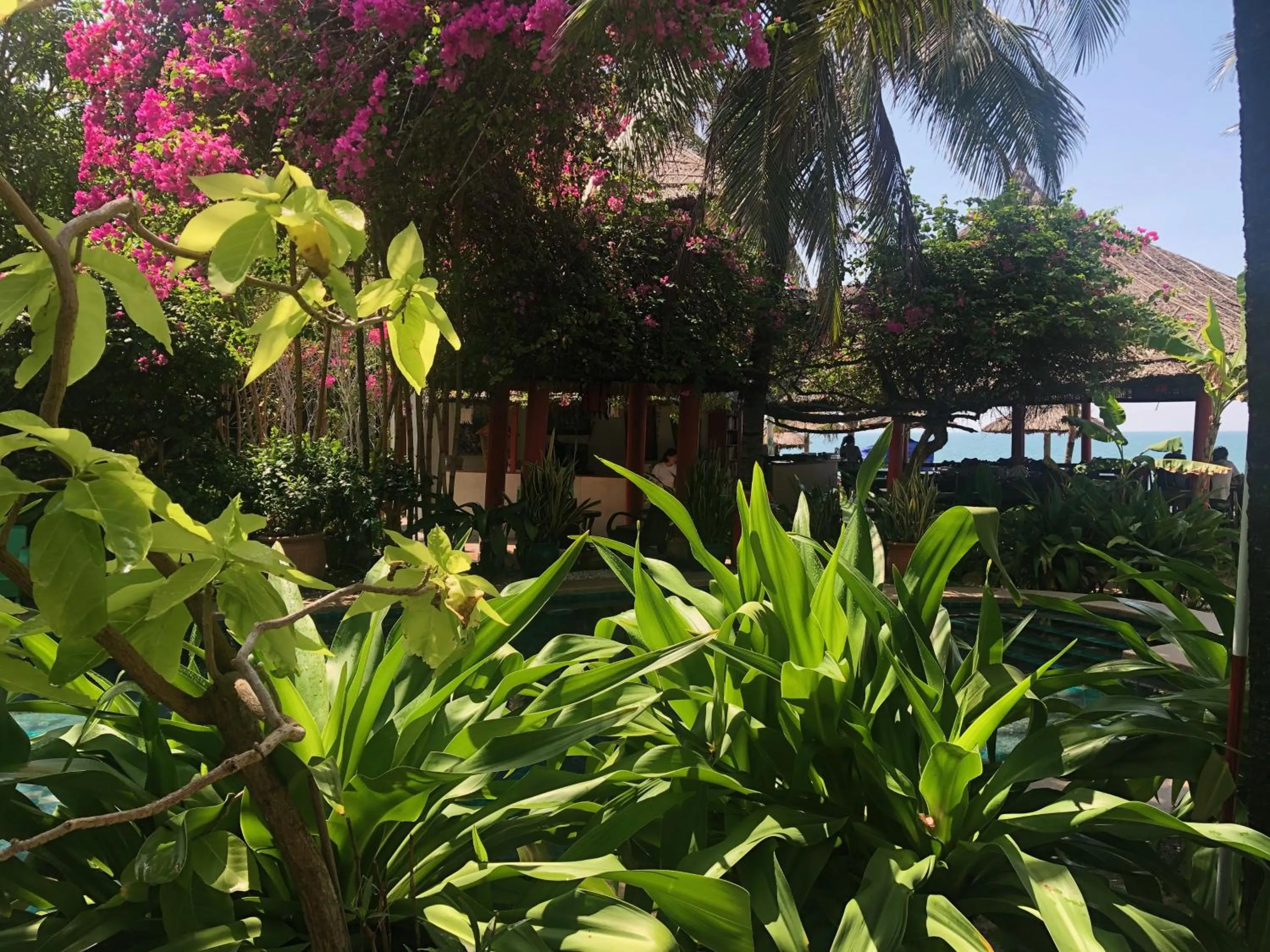 Property building in Full Moon Beach Resort