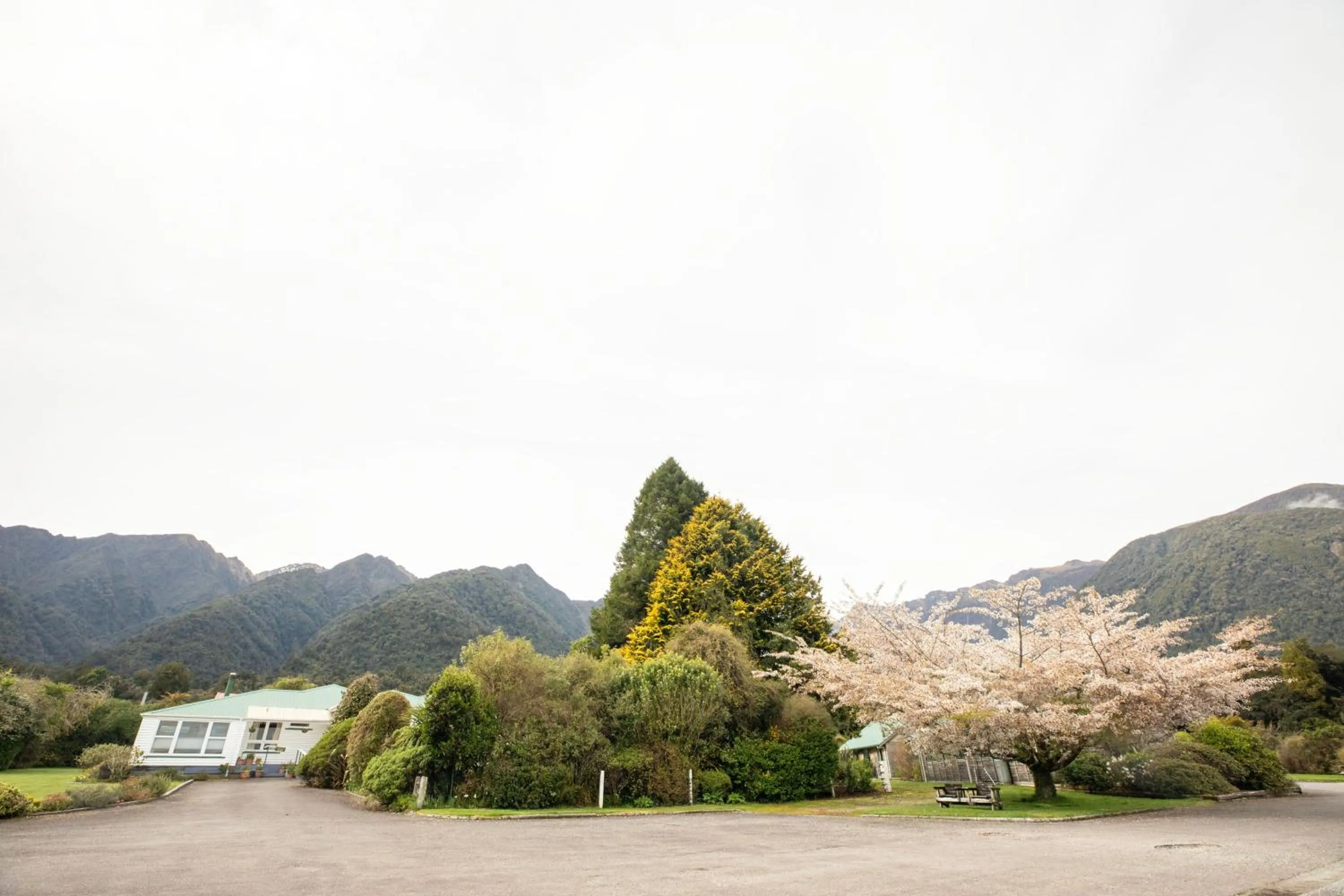 View (from property/room) in Rainforest Motel