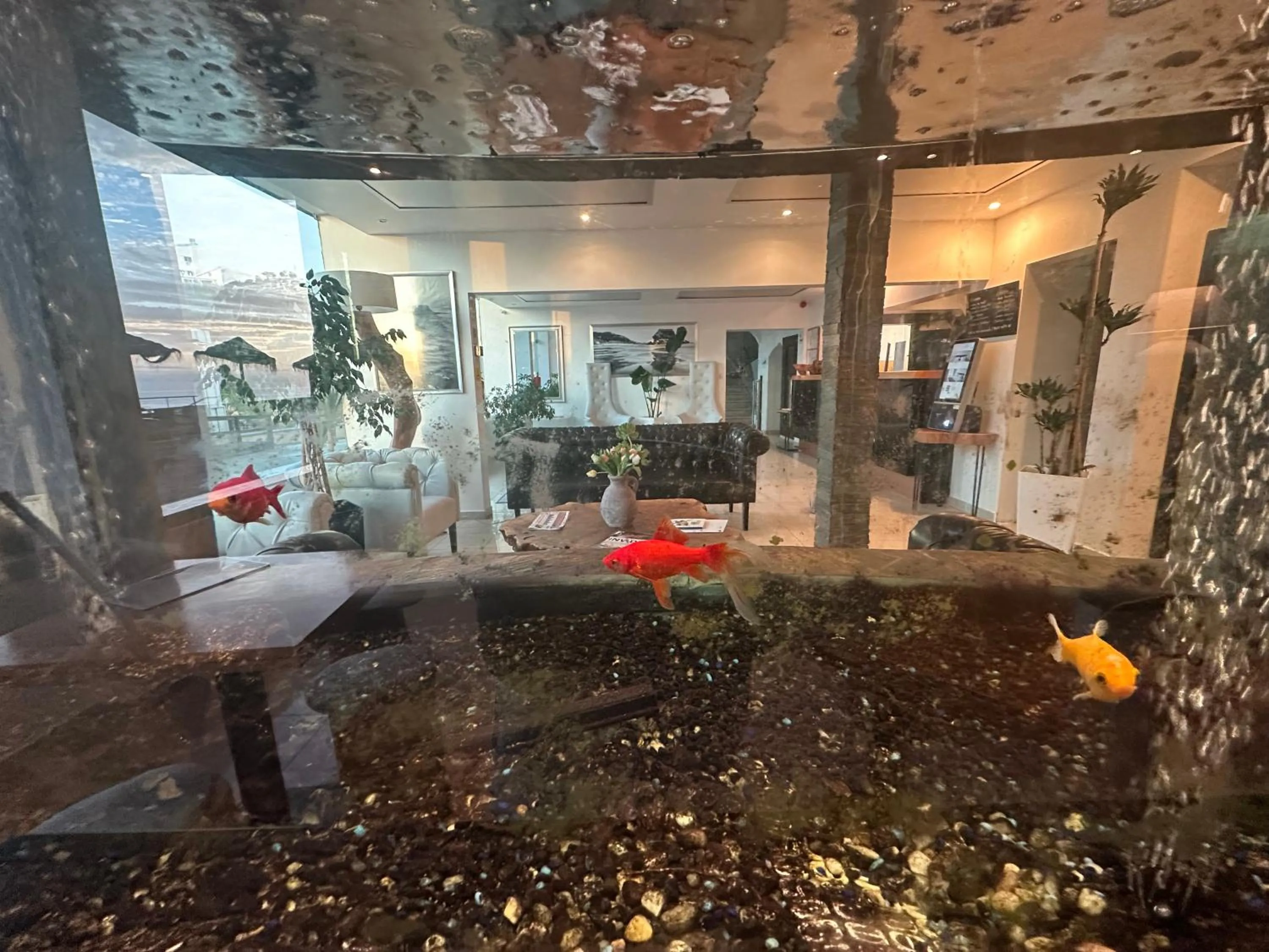 Lobby or reception in Promar - Eco Beach & Spa Hotel