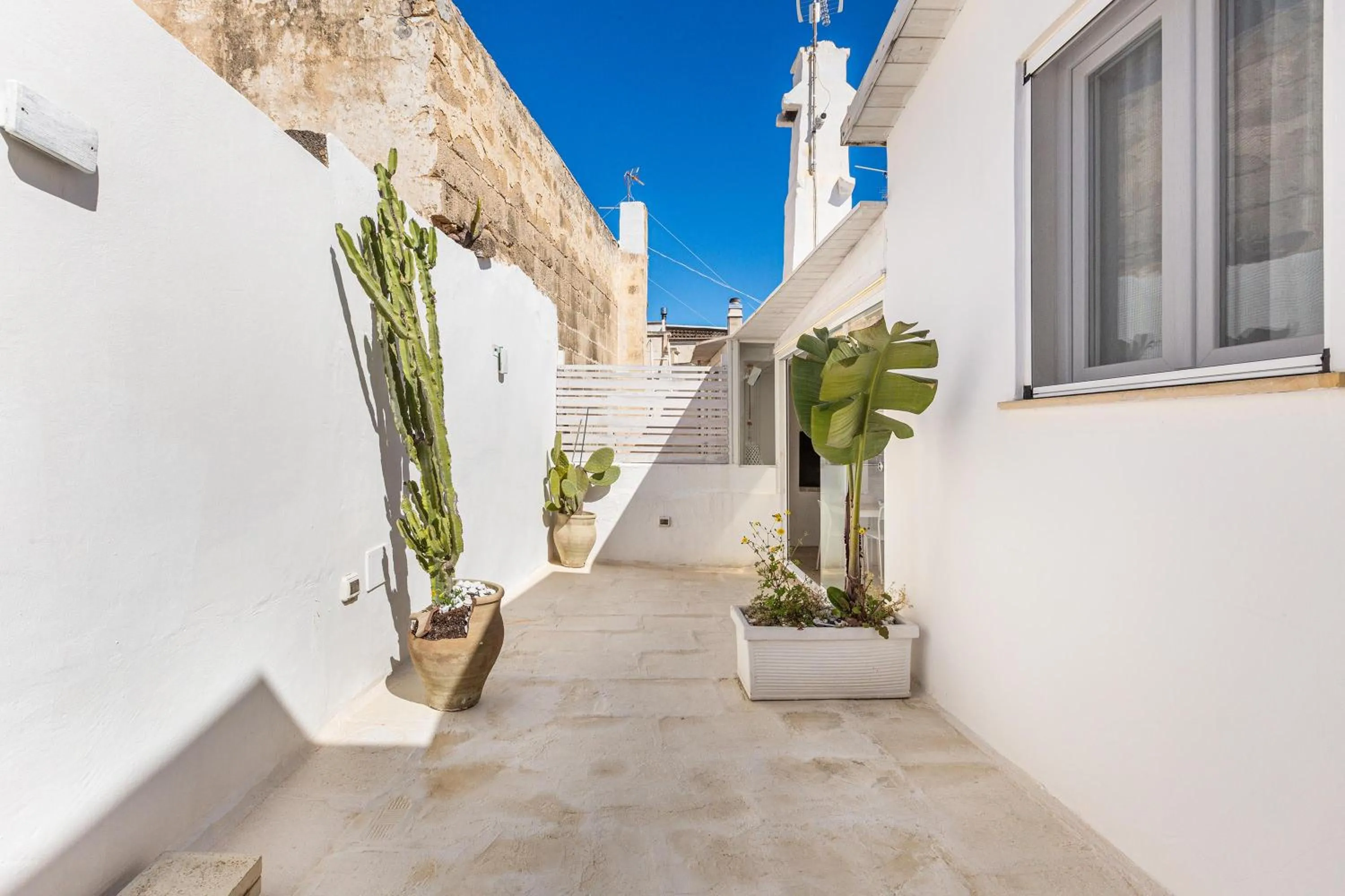 Property building in Clara Domus