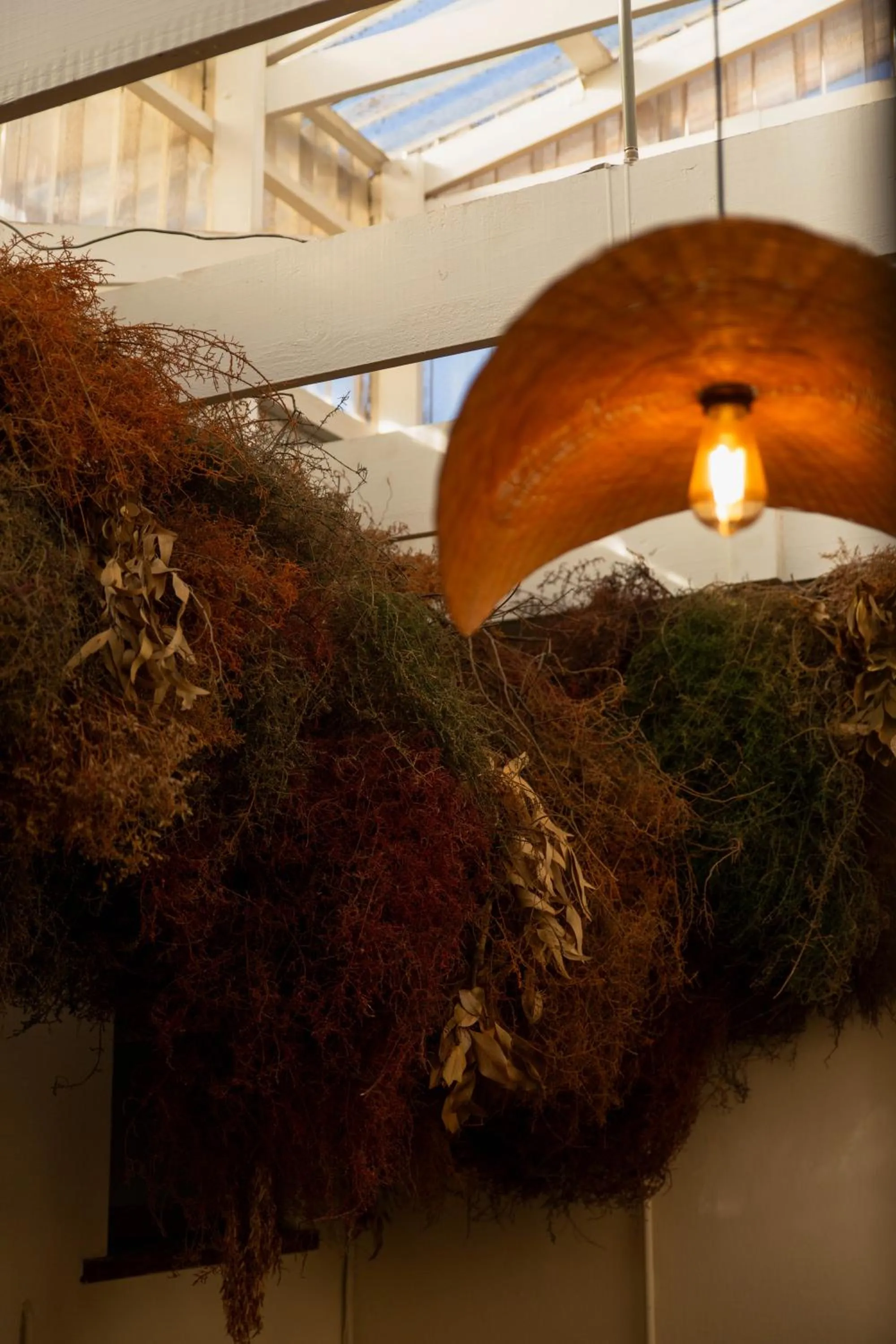 Sonnekus Boutique Hotel & Bistro