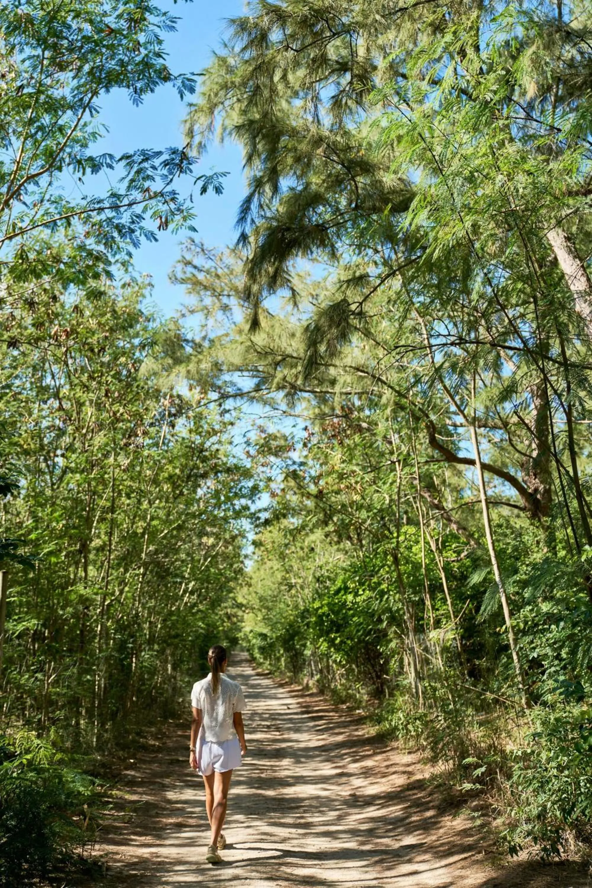 Other in The St. Regis Le Morne Resort, Mauritius
