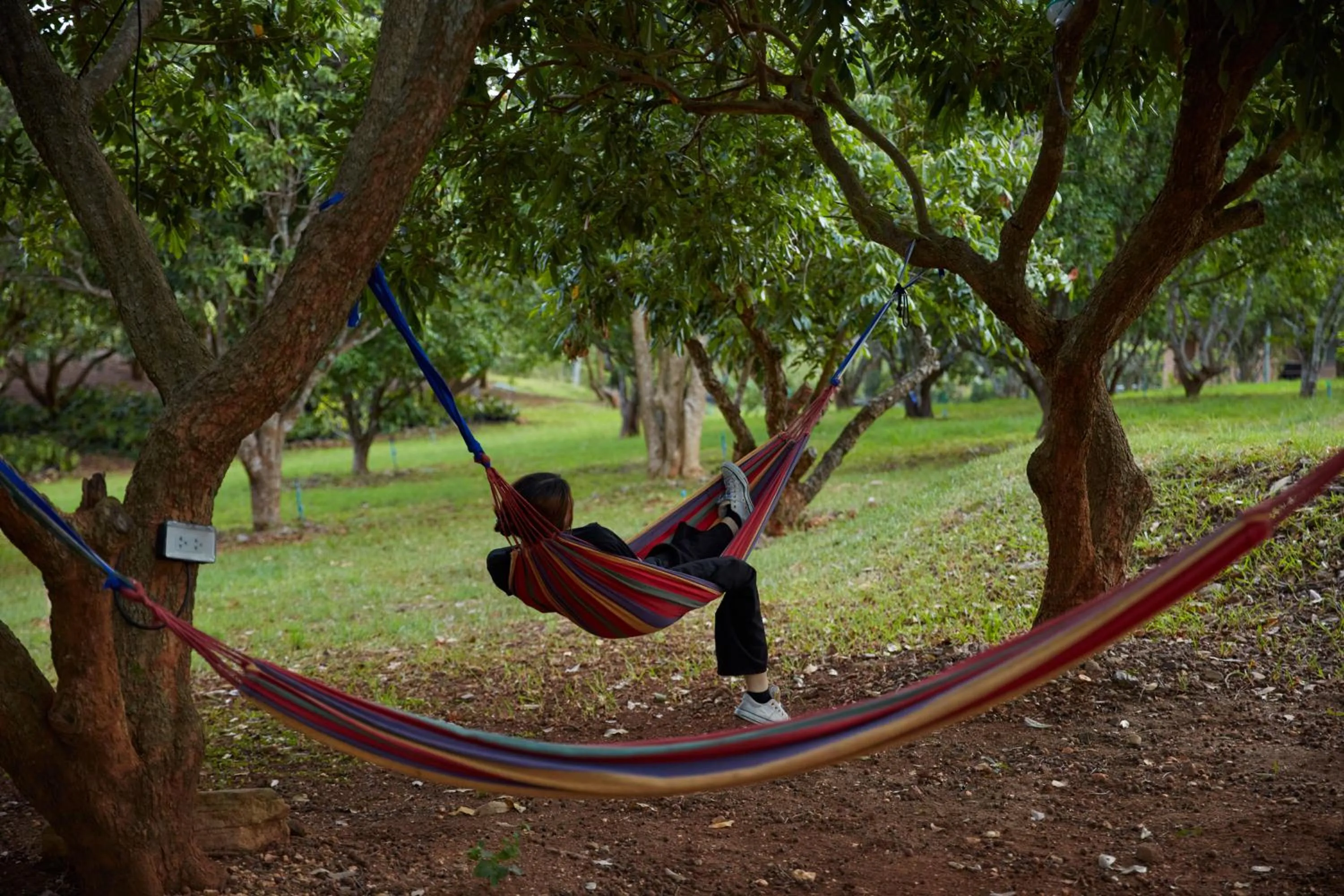 Garden in NUYU Khaoyai