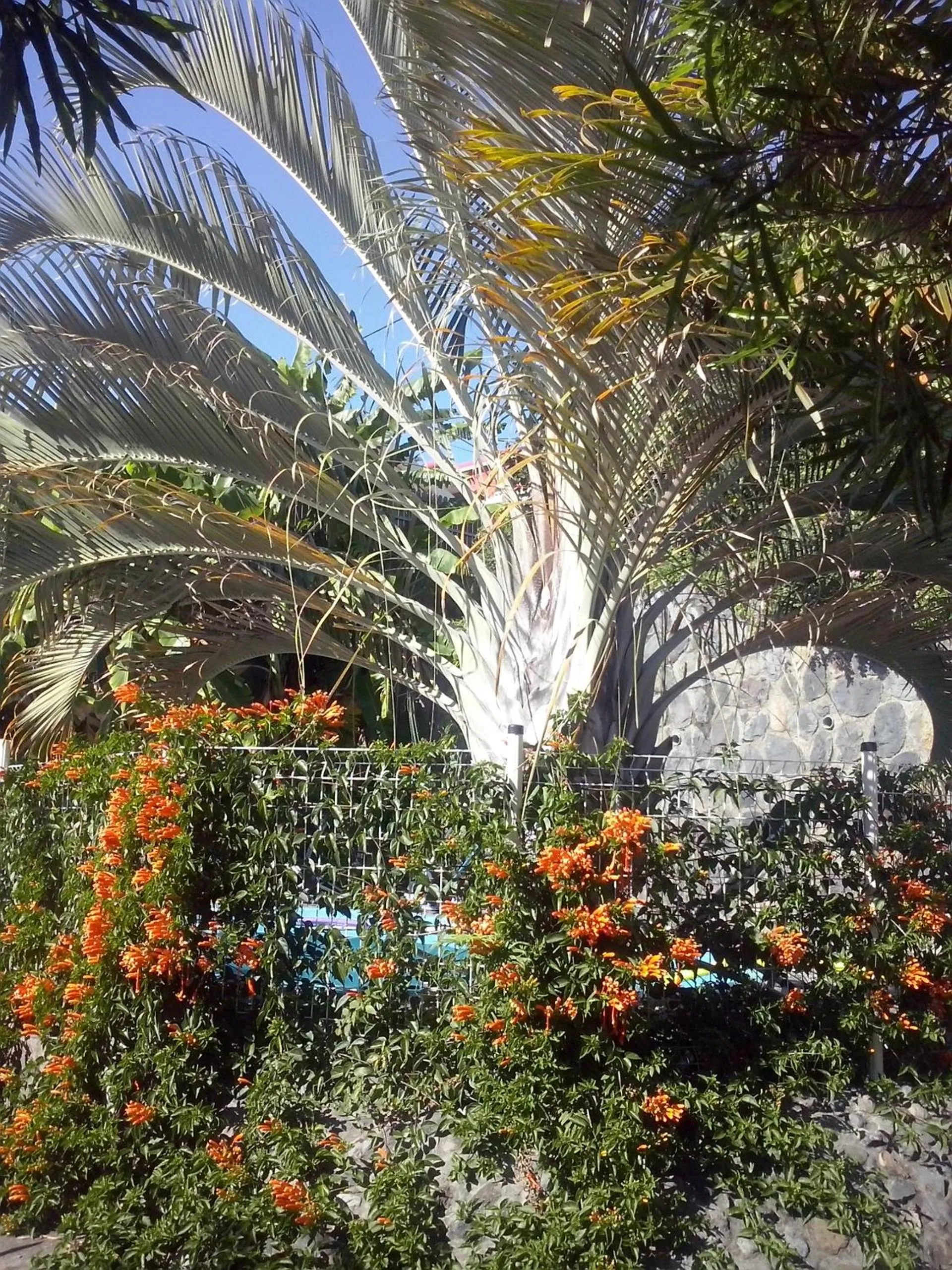 Garden in Villa Des Remparts