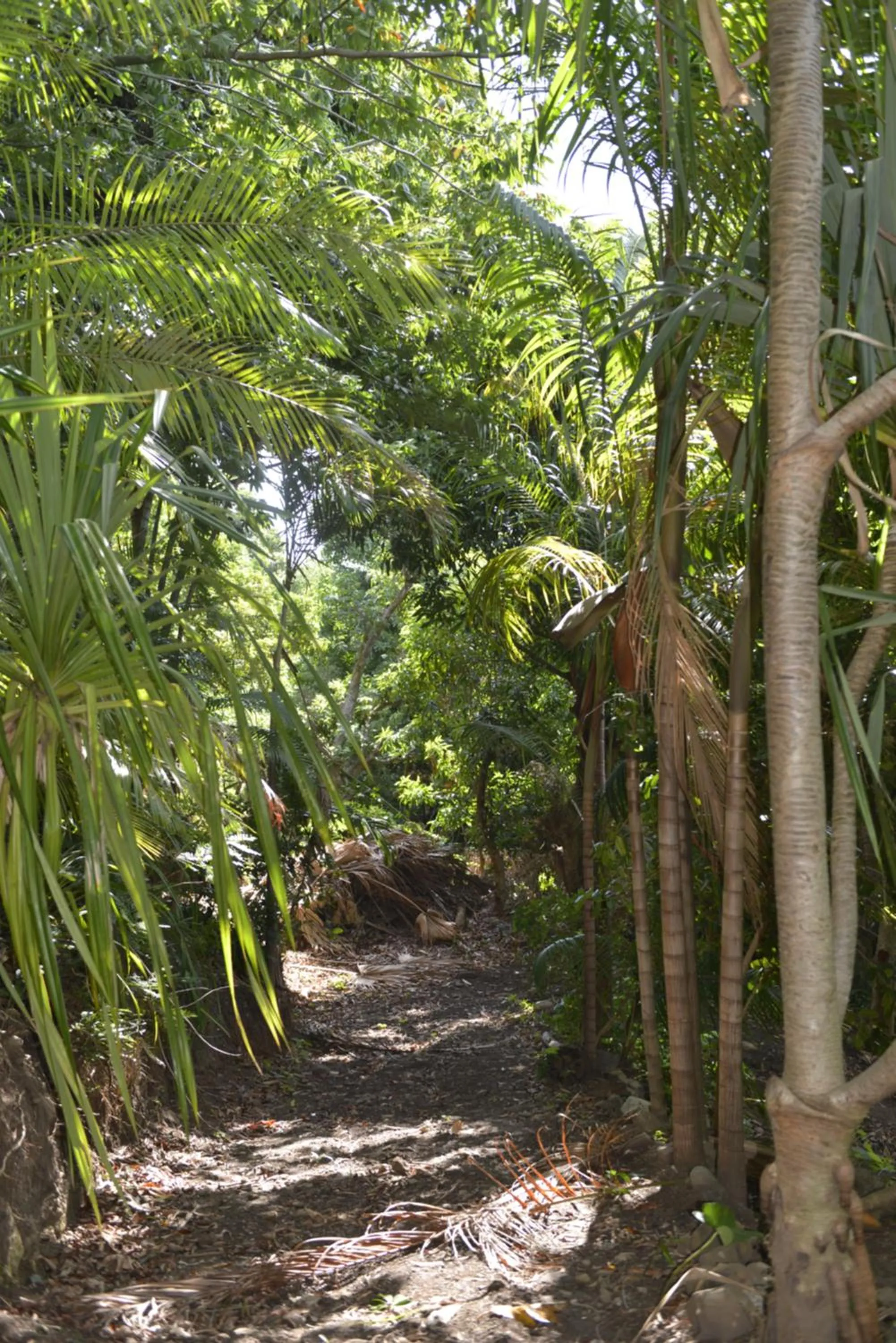 Natural landscape in Villa Des Remparts