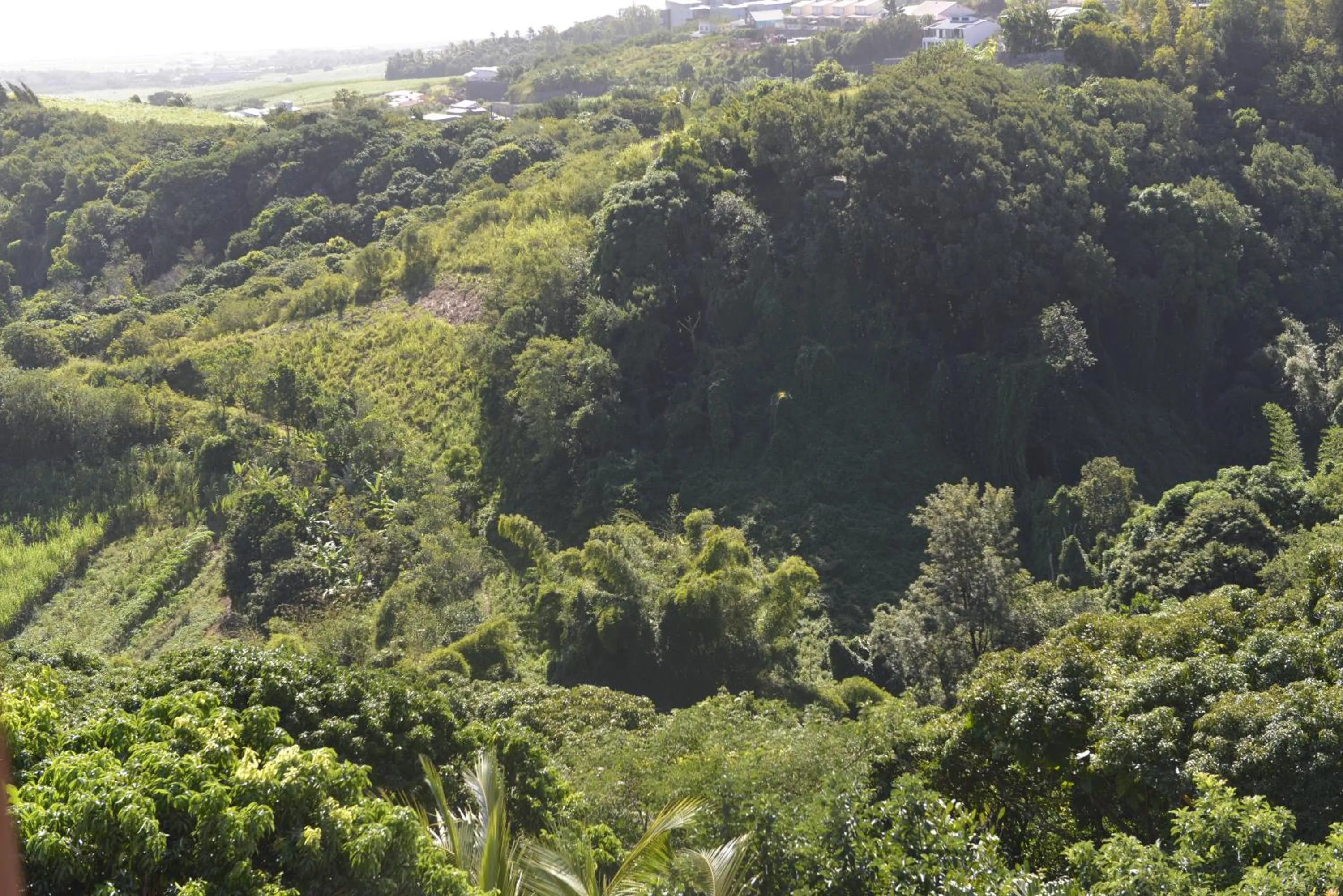 Natural landscape in Villa Des Remparts