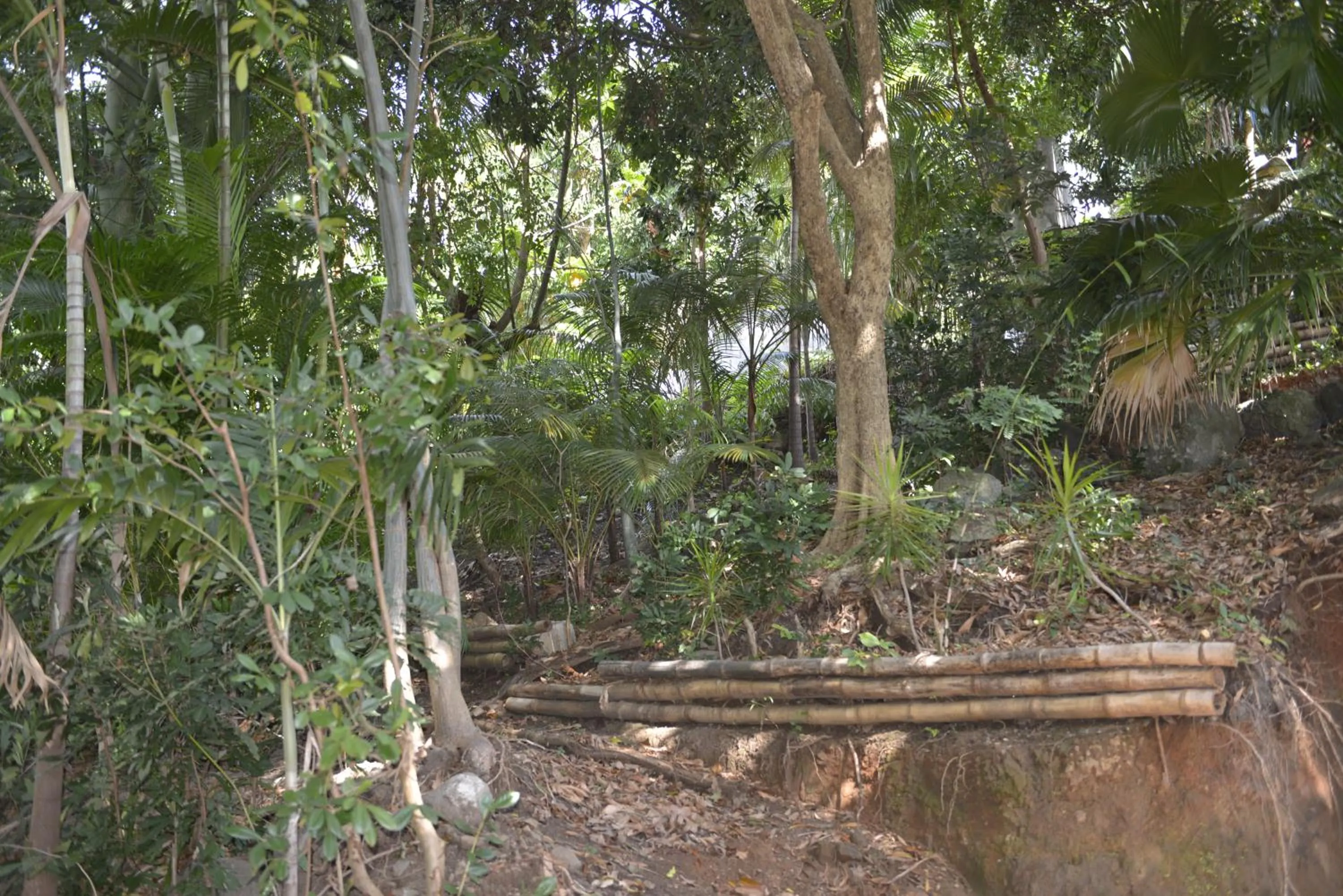 Natural landscape in Villa Des Remparts