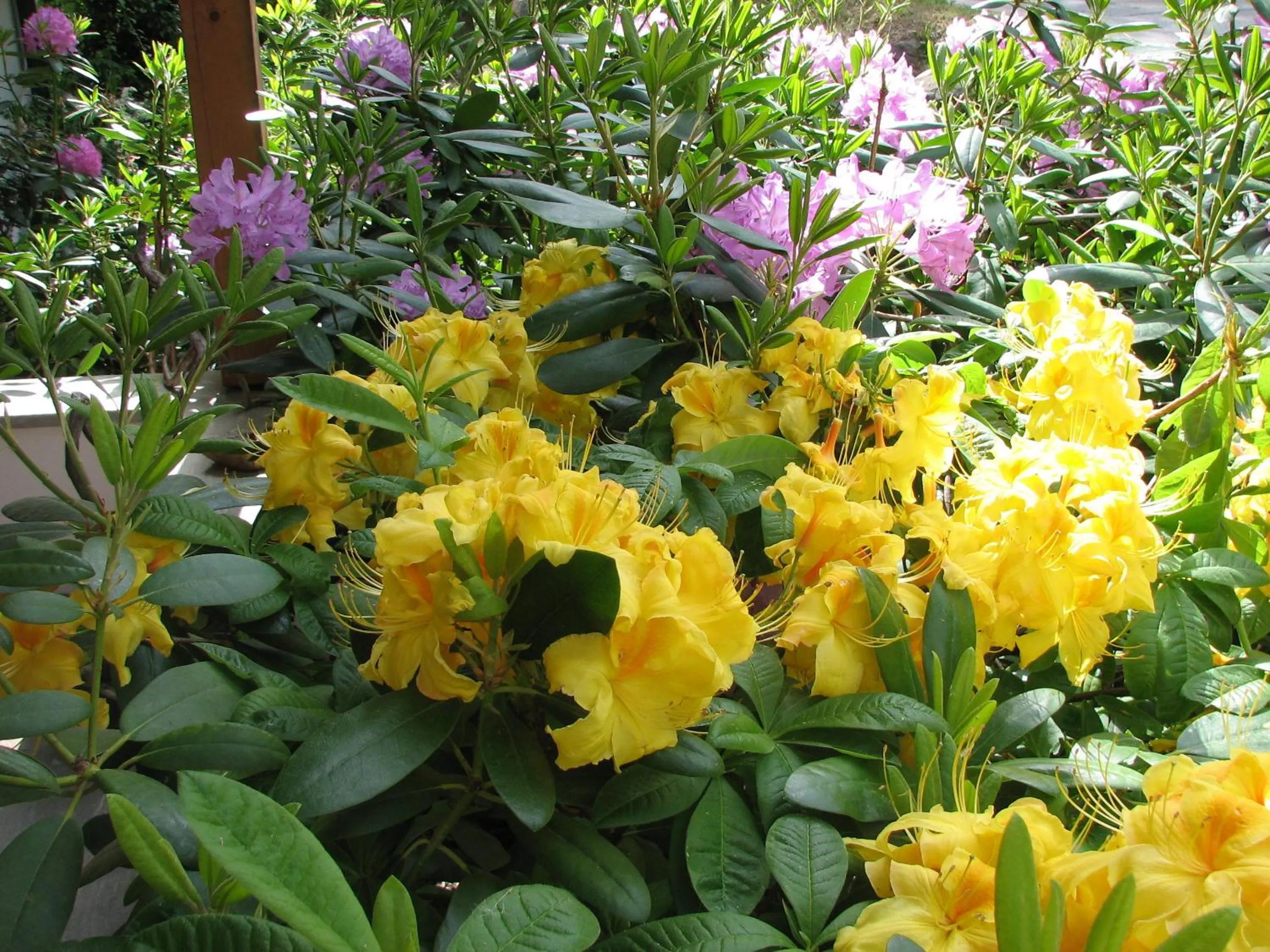 Bed & Breakfast La Val