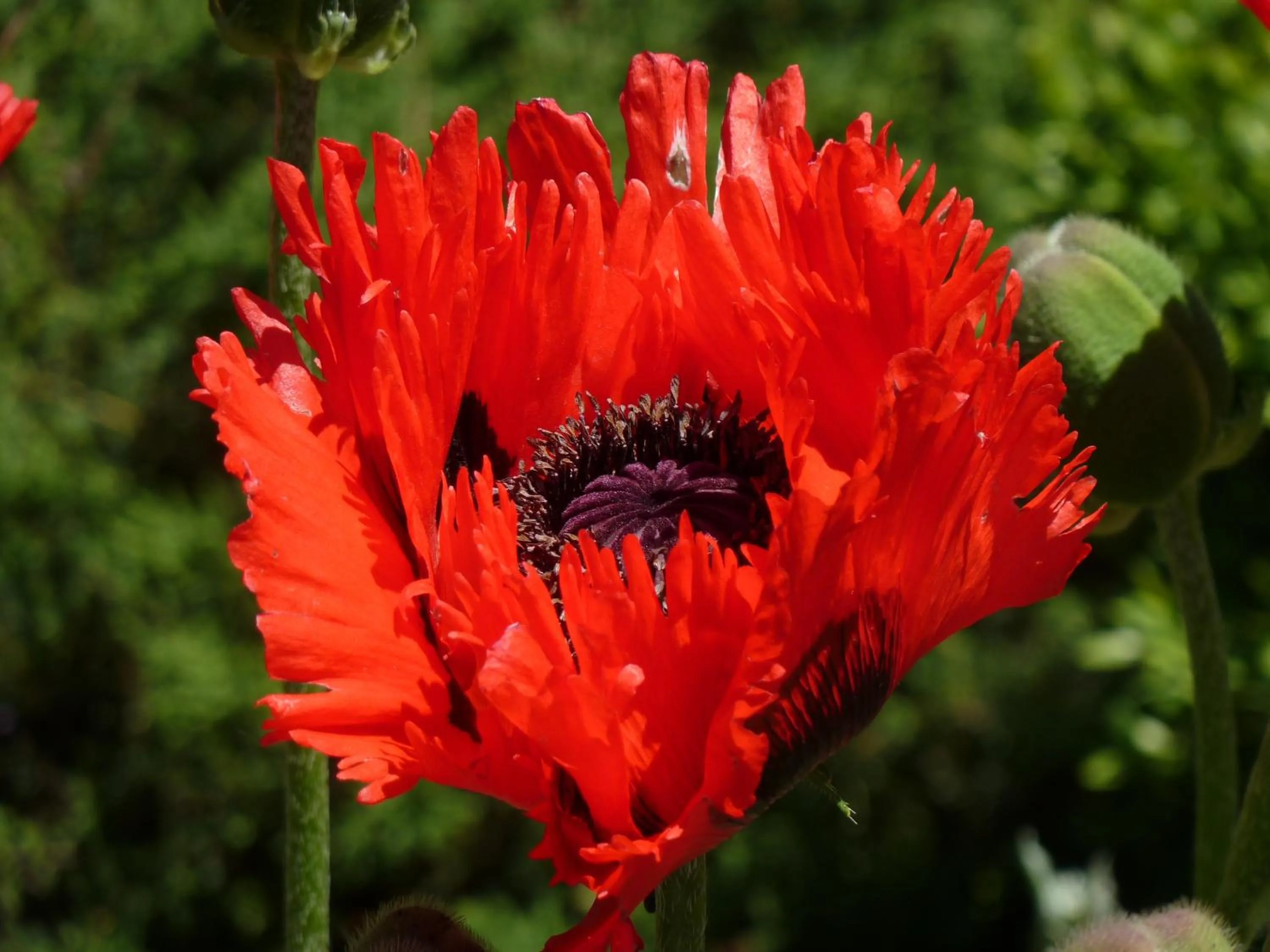 Bed & Breakfast La Val