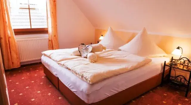 Small Double Room in Hotel Birkenhof Garni Small Double Room in Hotel Birkenhof Garni