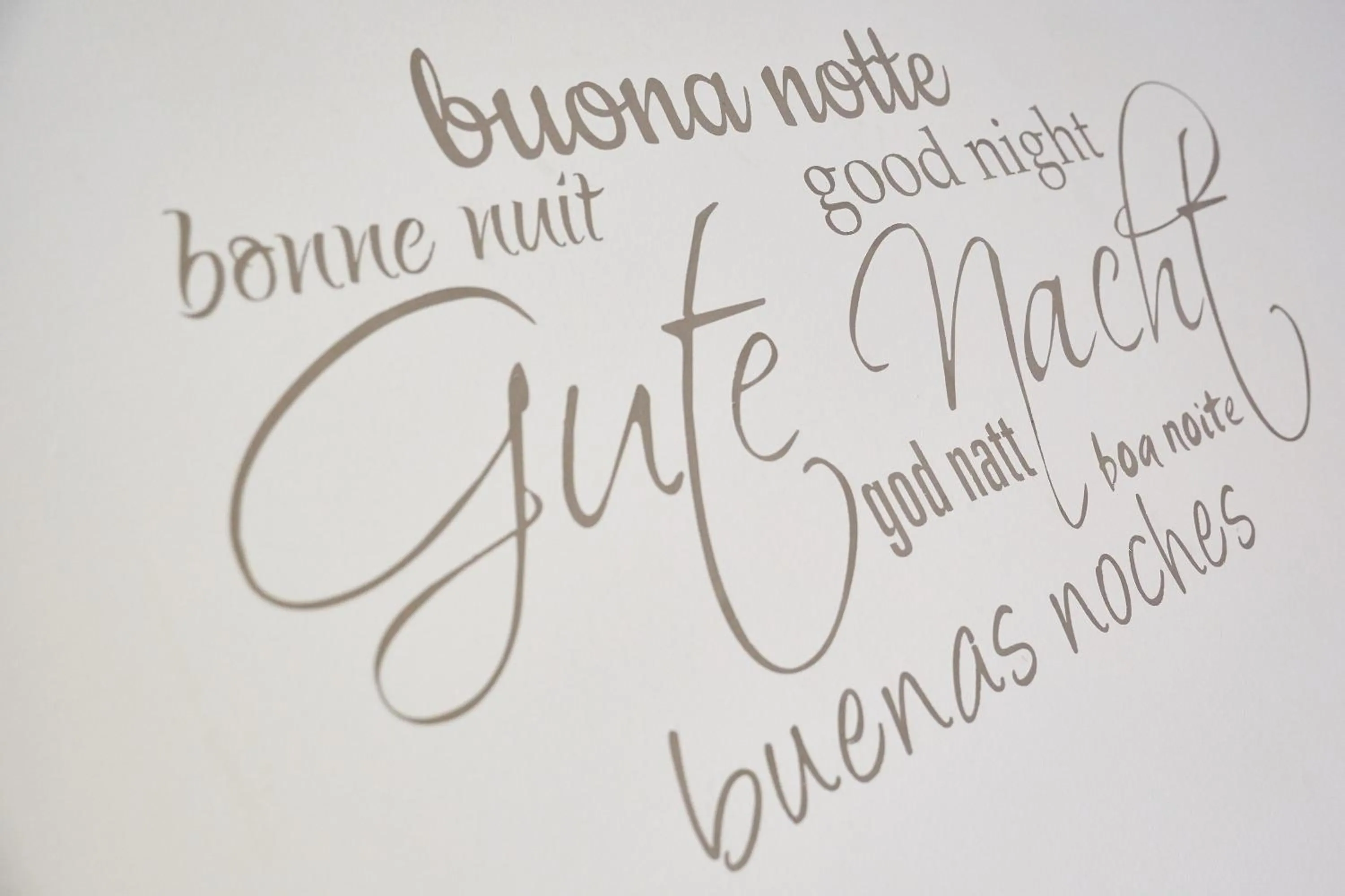 Other in Hotel Garni Savoy - new opening