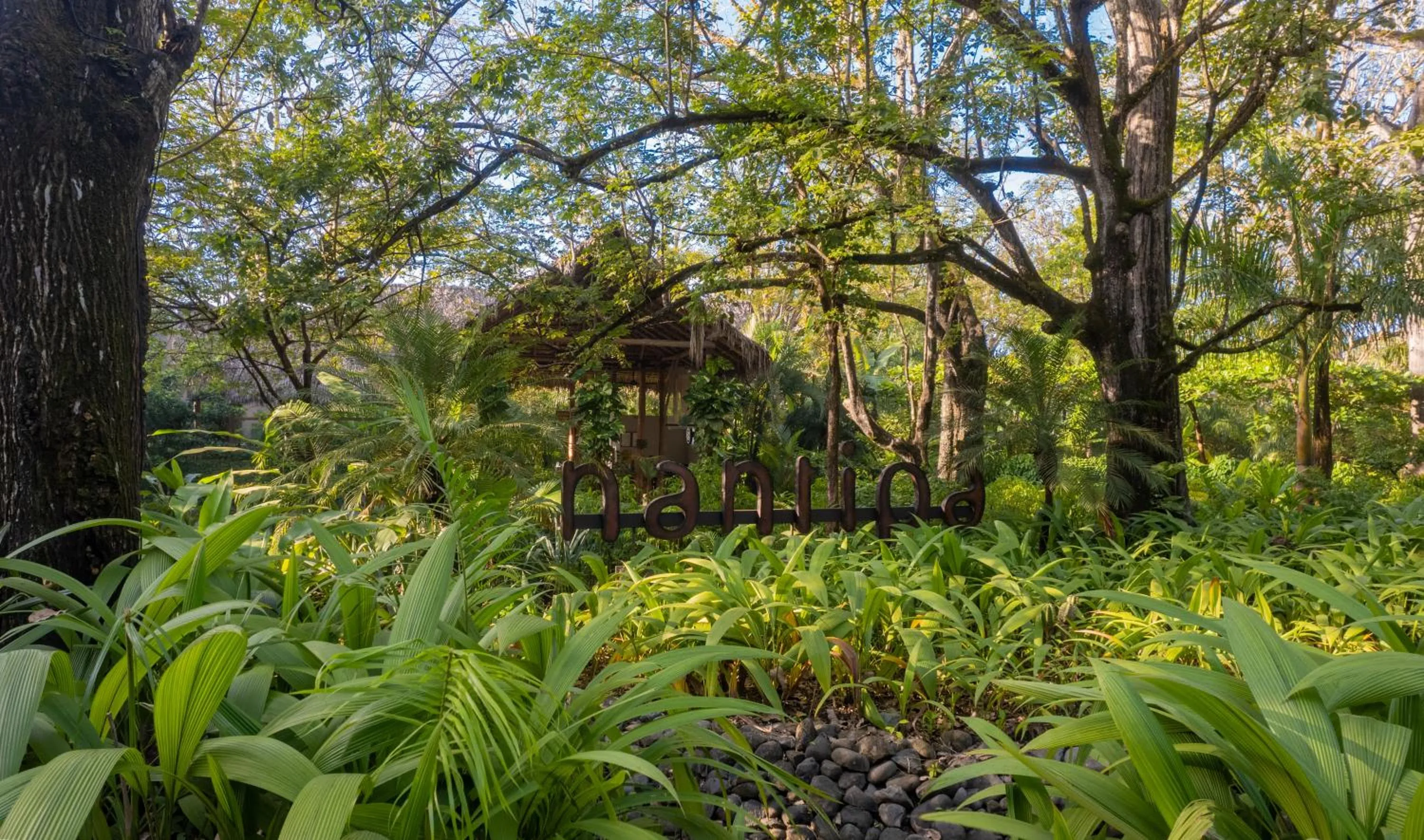 Day in Hotel Nantipa - A Tico Beach Experience