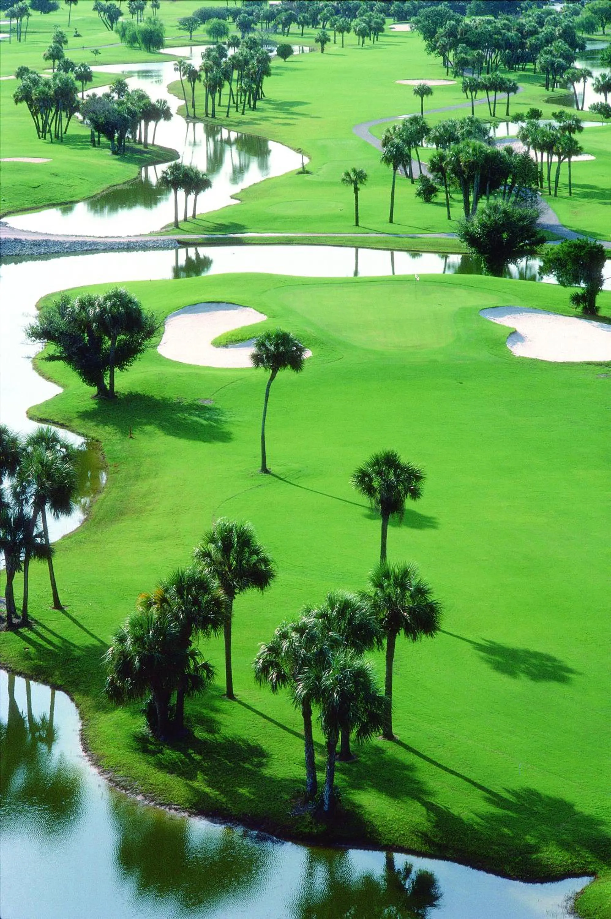 Golfcourse in Resort at Longboat Key Club