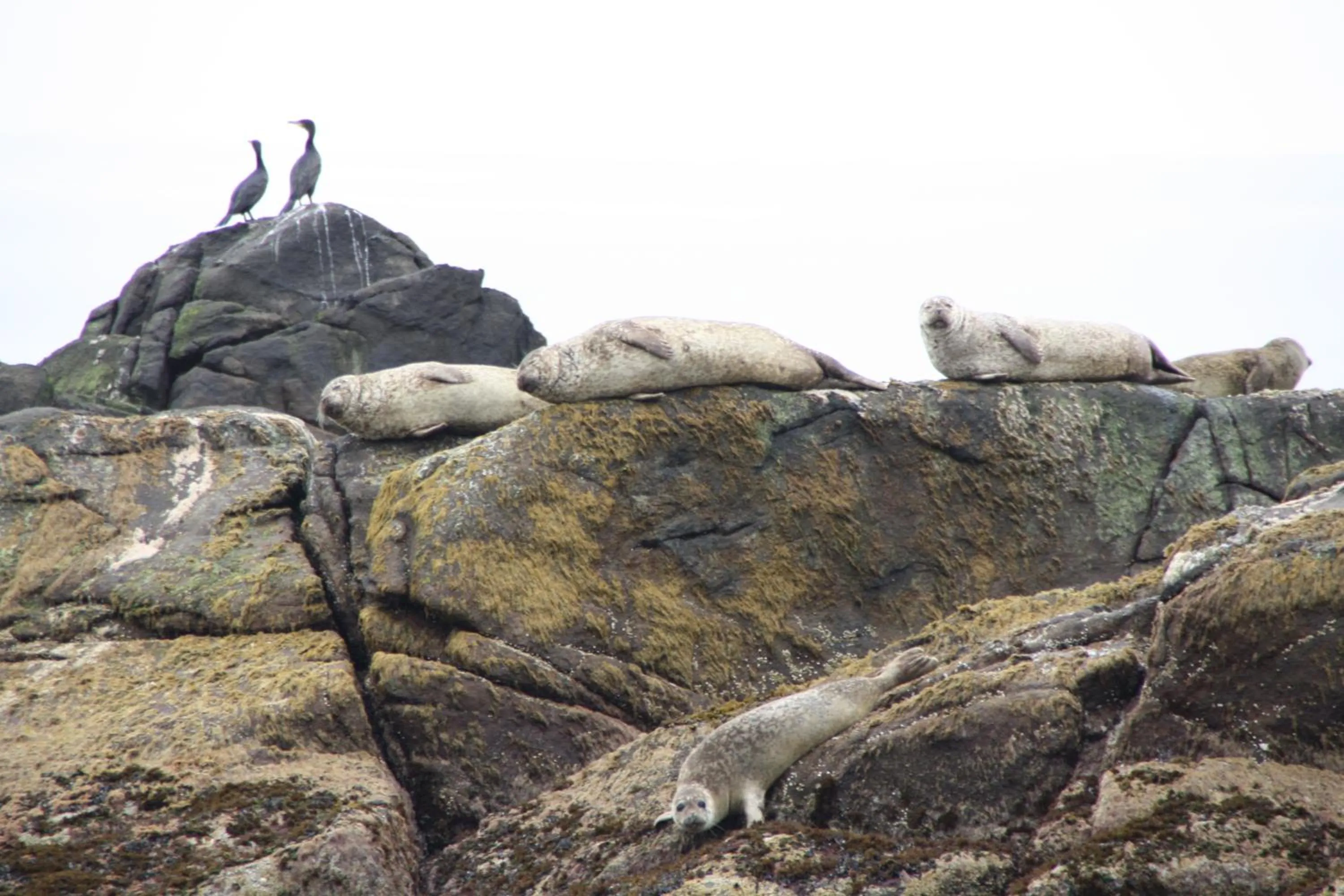 Other in Holmvik Brygge Nyksund