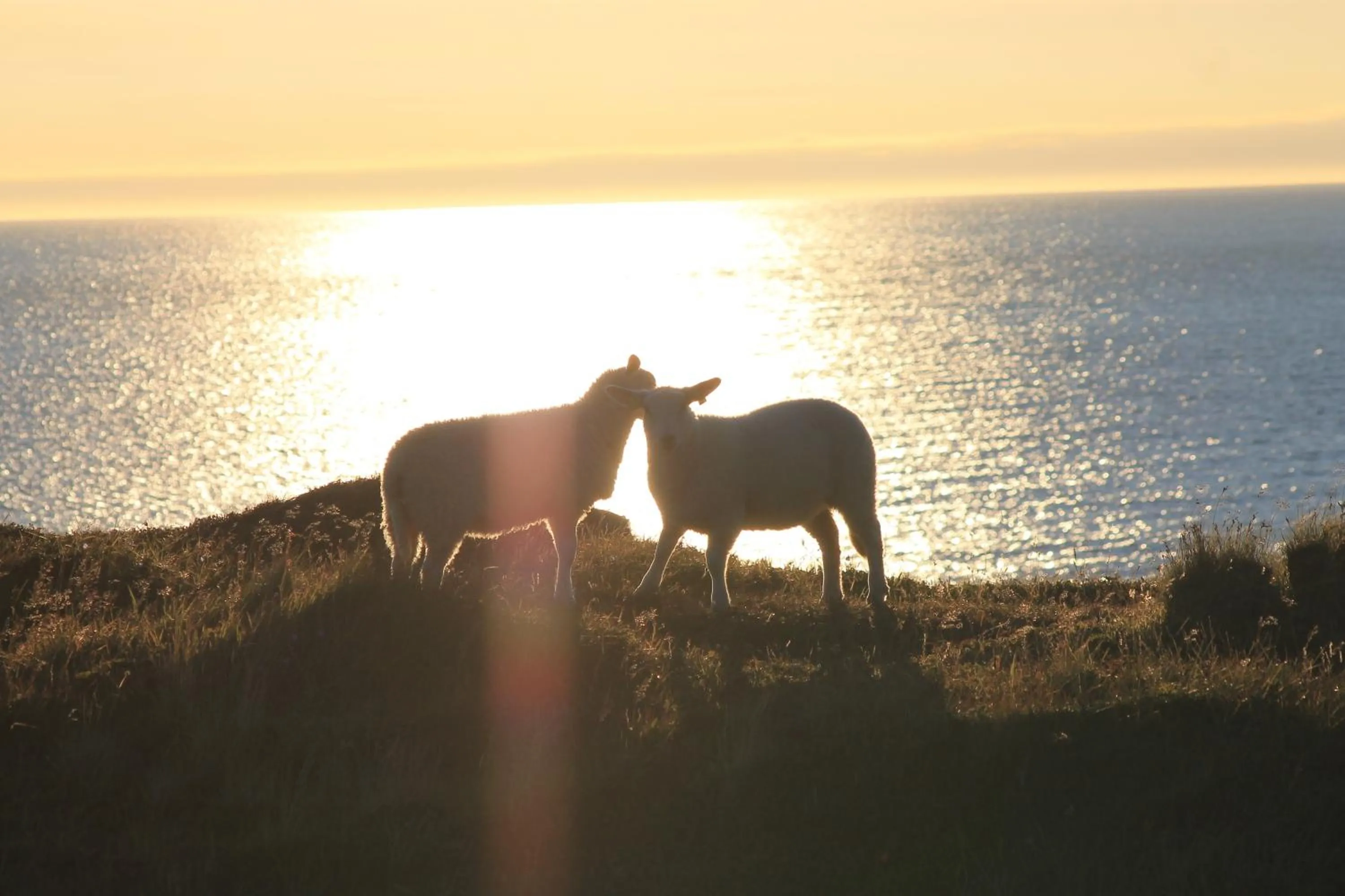 Night in Holmvik Brygge Nyksund