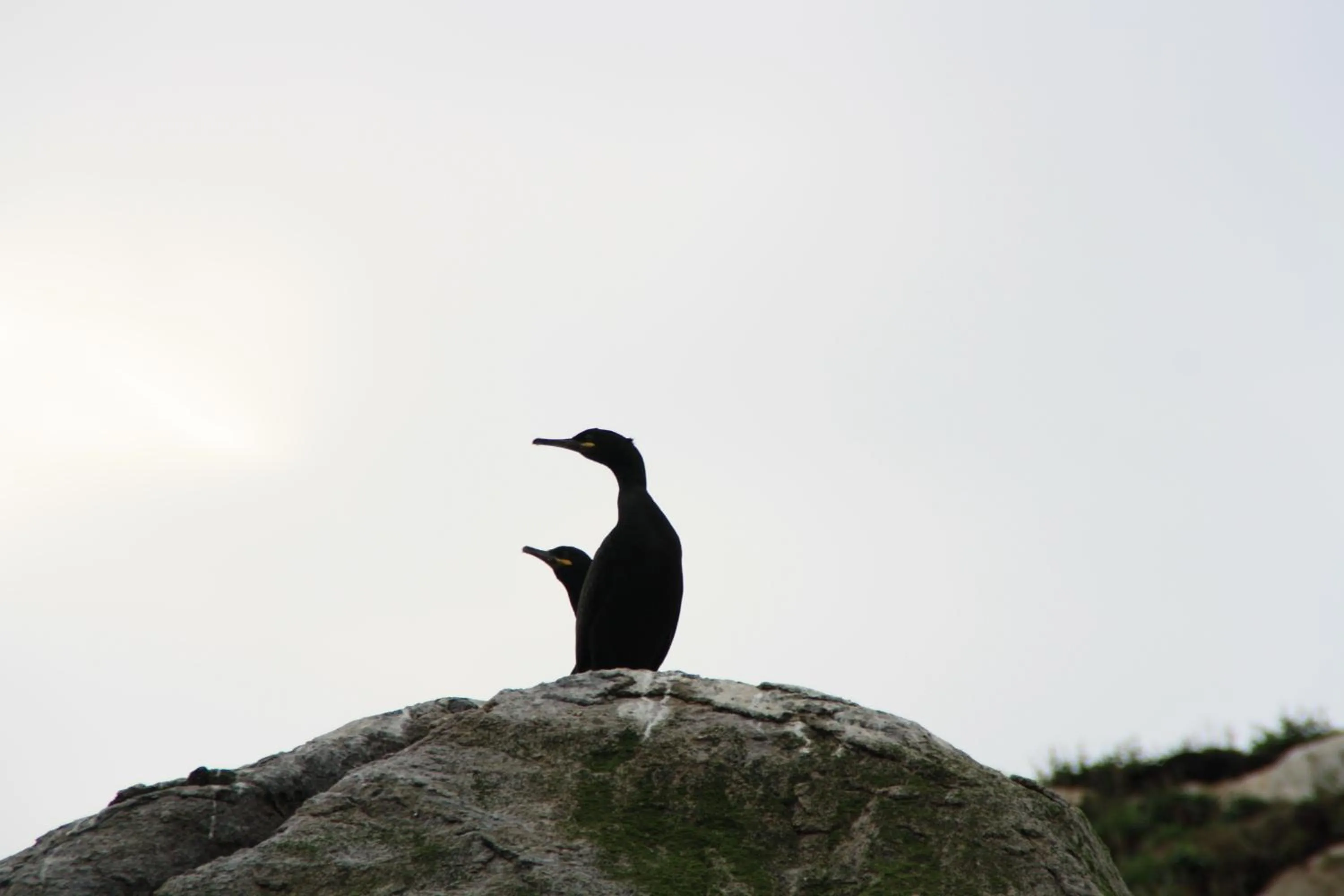 Other in Holmvik Brygge Nyksund