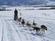 Pets in Holmvik Brygge Nyksund