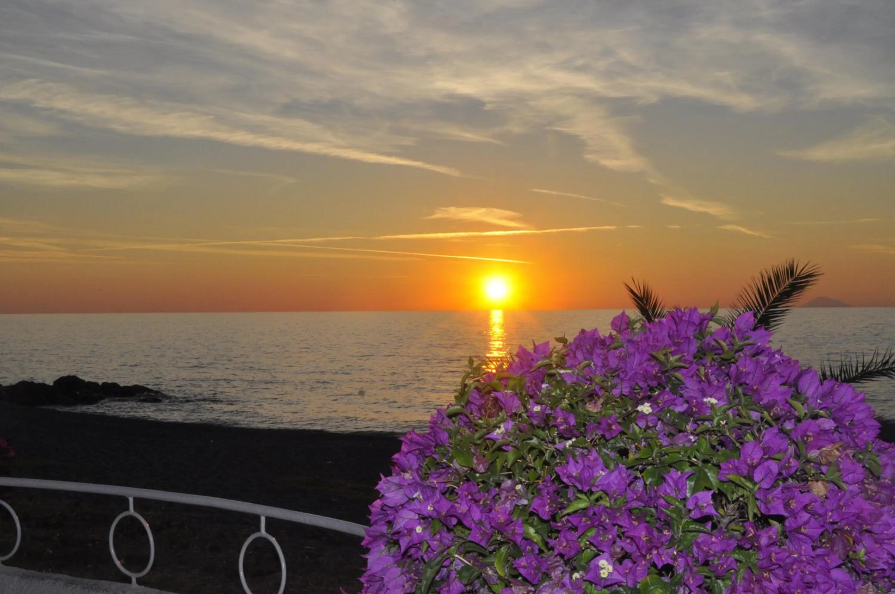 View (from property/room) in Hotel Ristorante La Scogliera - NUOVA GESTIONE