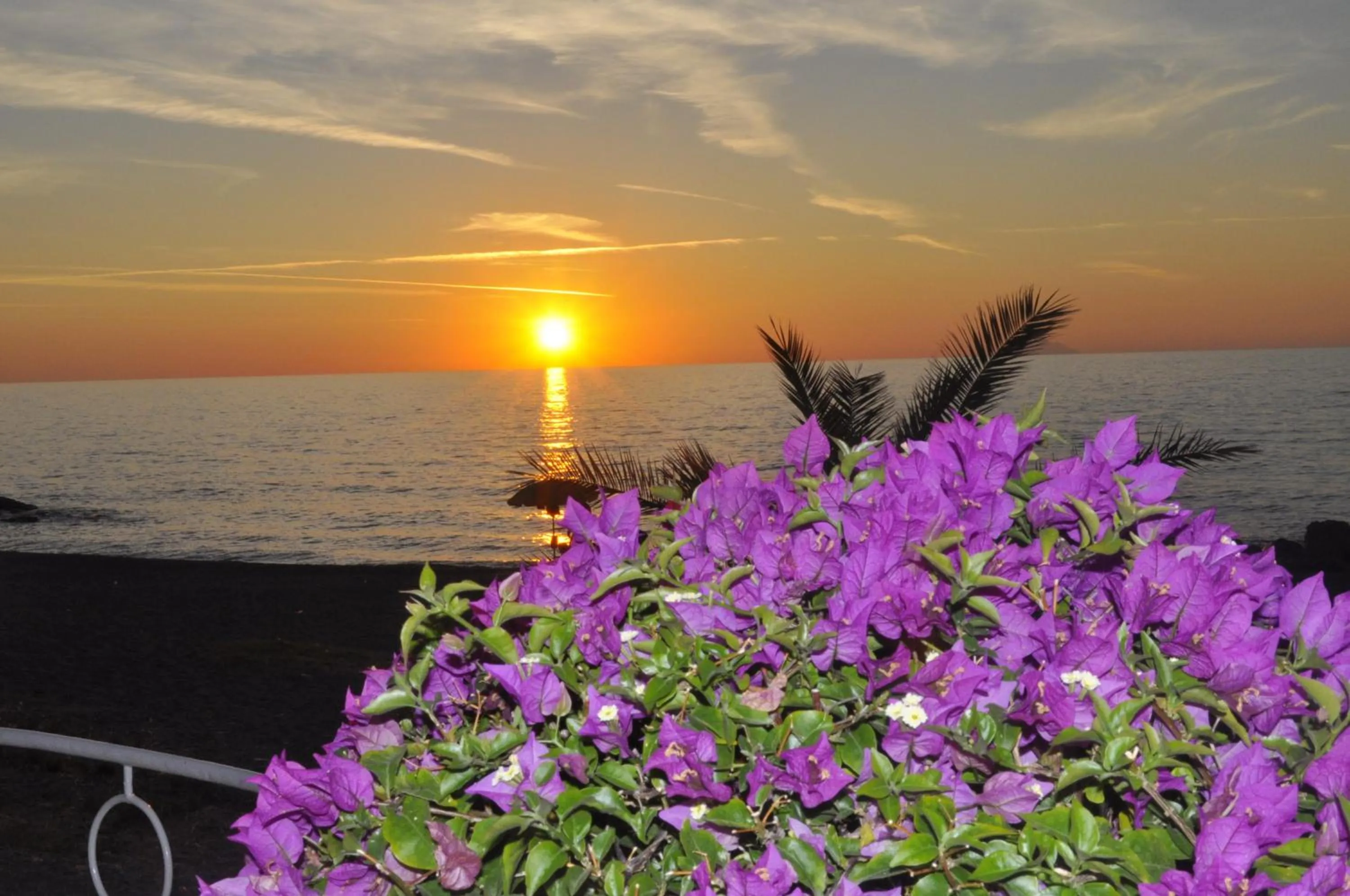 View (from property/room) in Hotel Ristorante La Scogliera - NUOVA GESTIONE