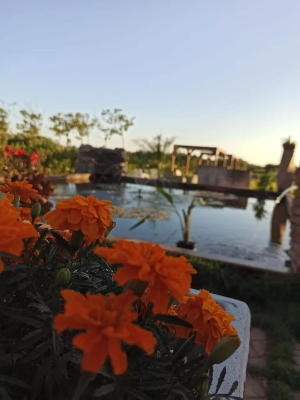 Garden in Fattoria Il Laghetto