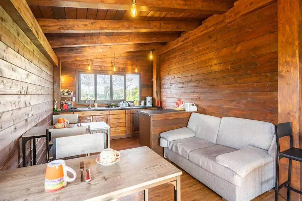 Food and drinks in Fattoria Il Laghetto