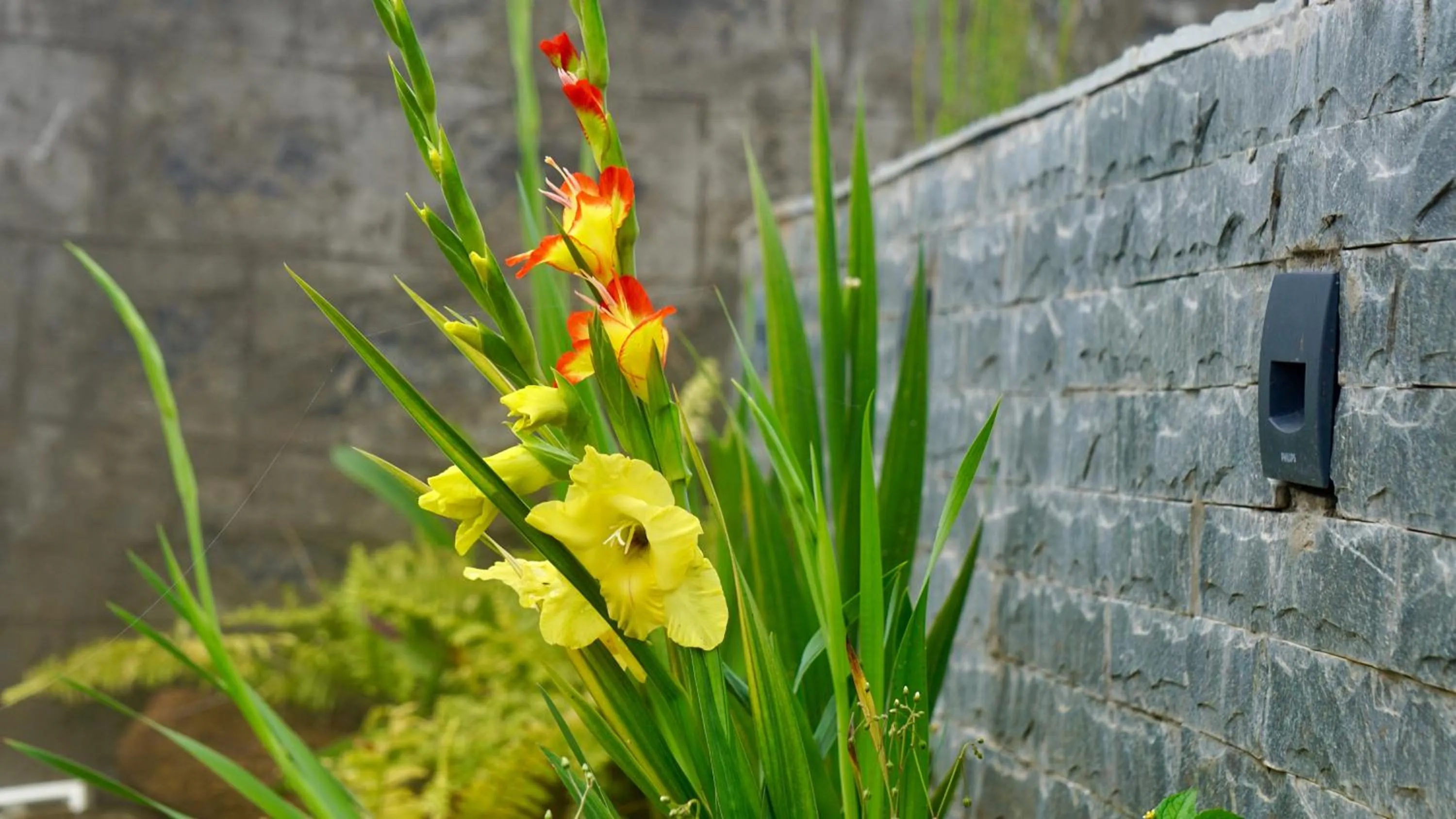 Property building in La Niebla Farm Resort