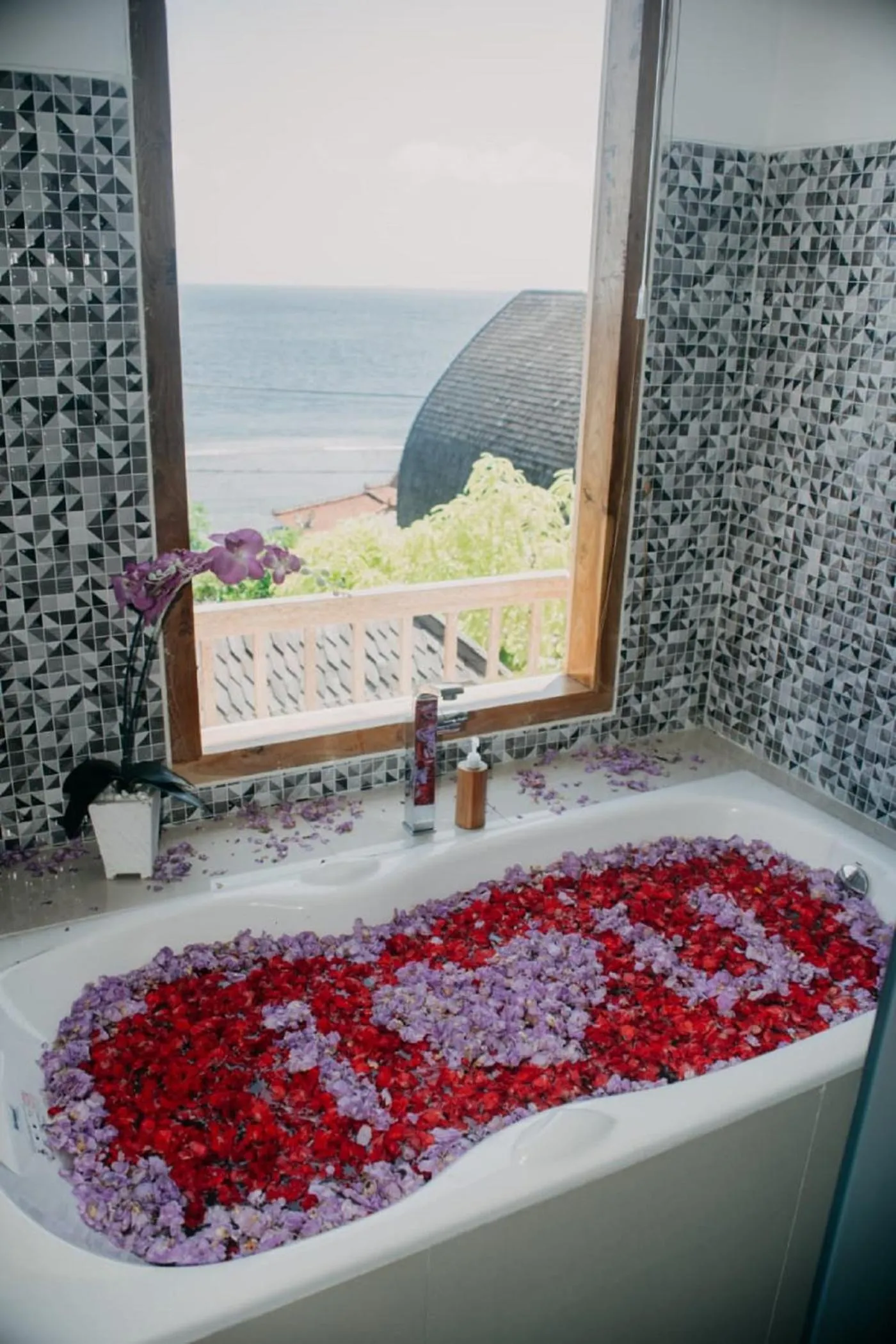 Natural landscape in Sea Terras Suite and Luxury