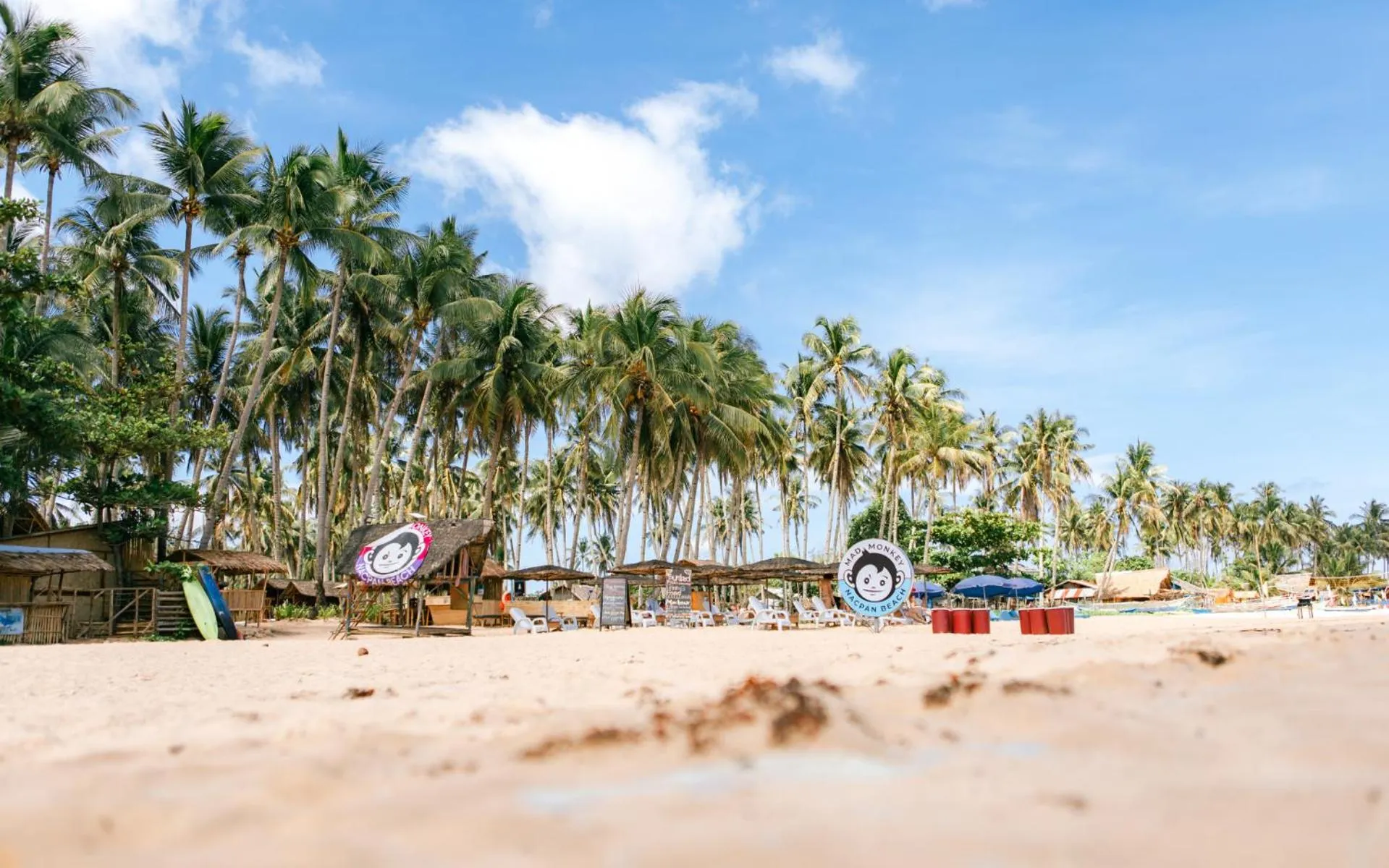 Beach in Mad Monkey Hostel Nacpan Beach