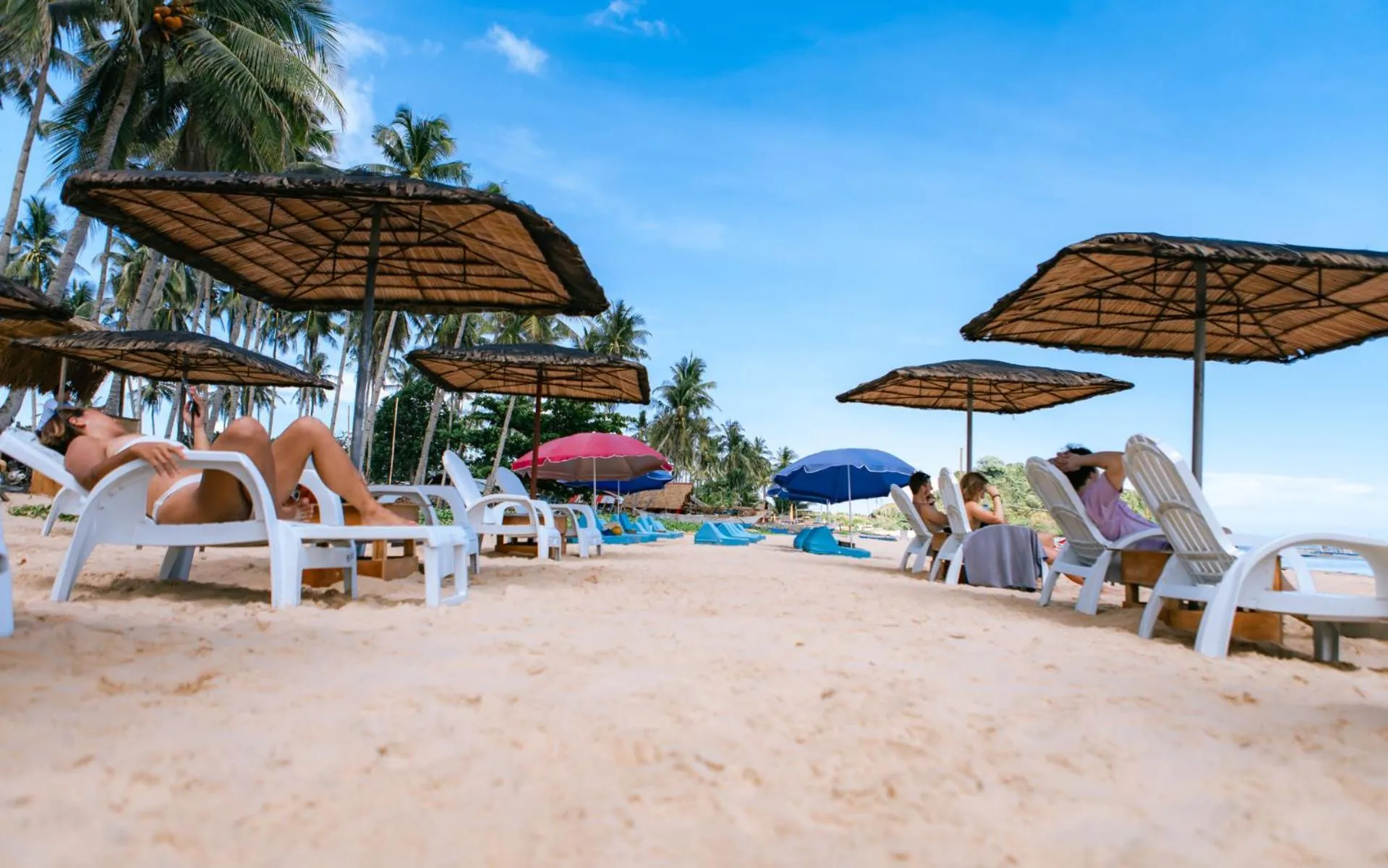 Beach in Mad Monkey Hostel Nacpan Beach