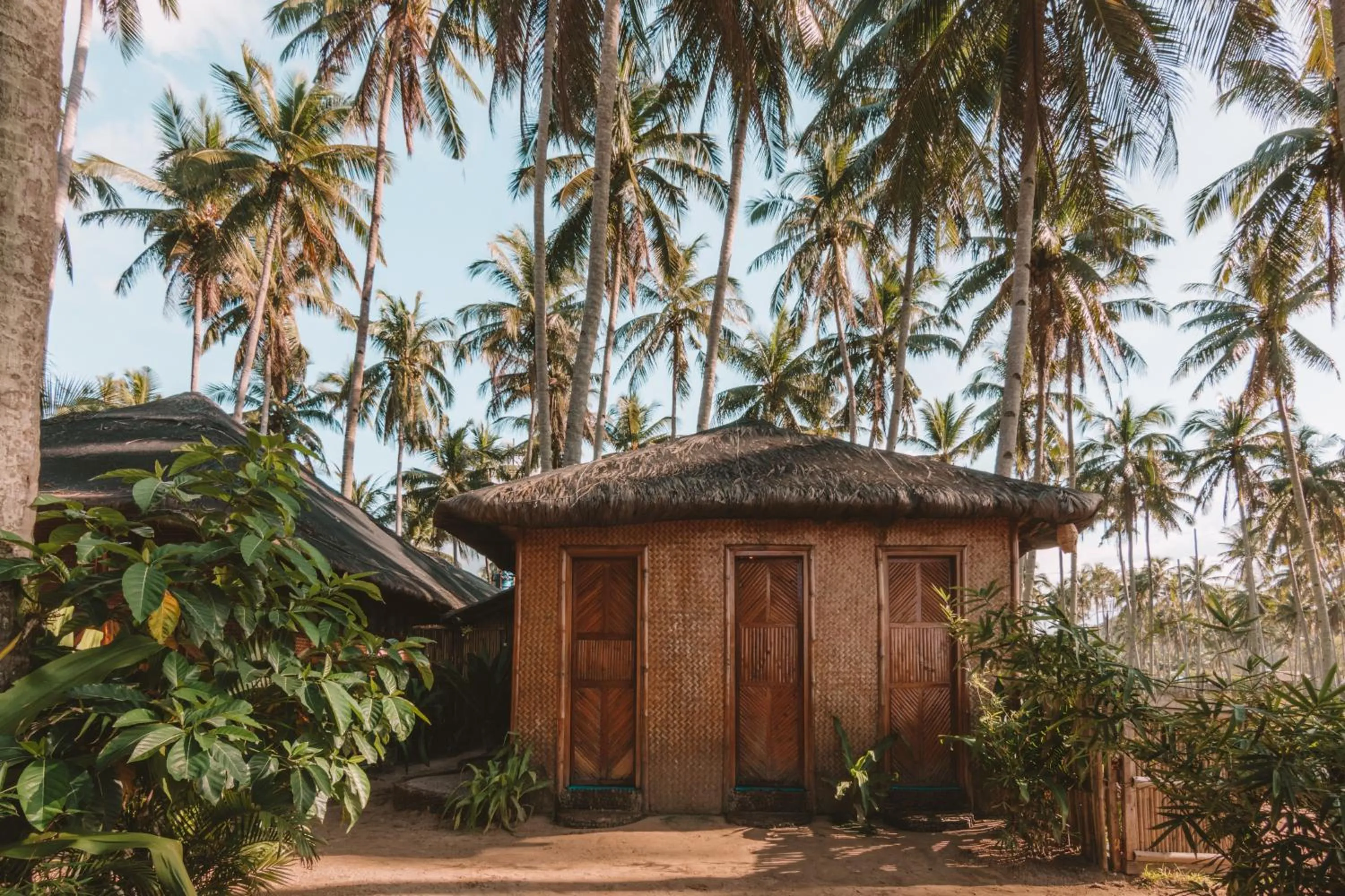 Facade/entrance in Mad Monkey Hostel Nacpan Beach