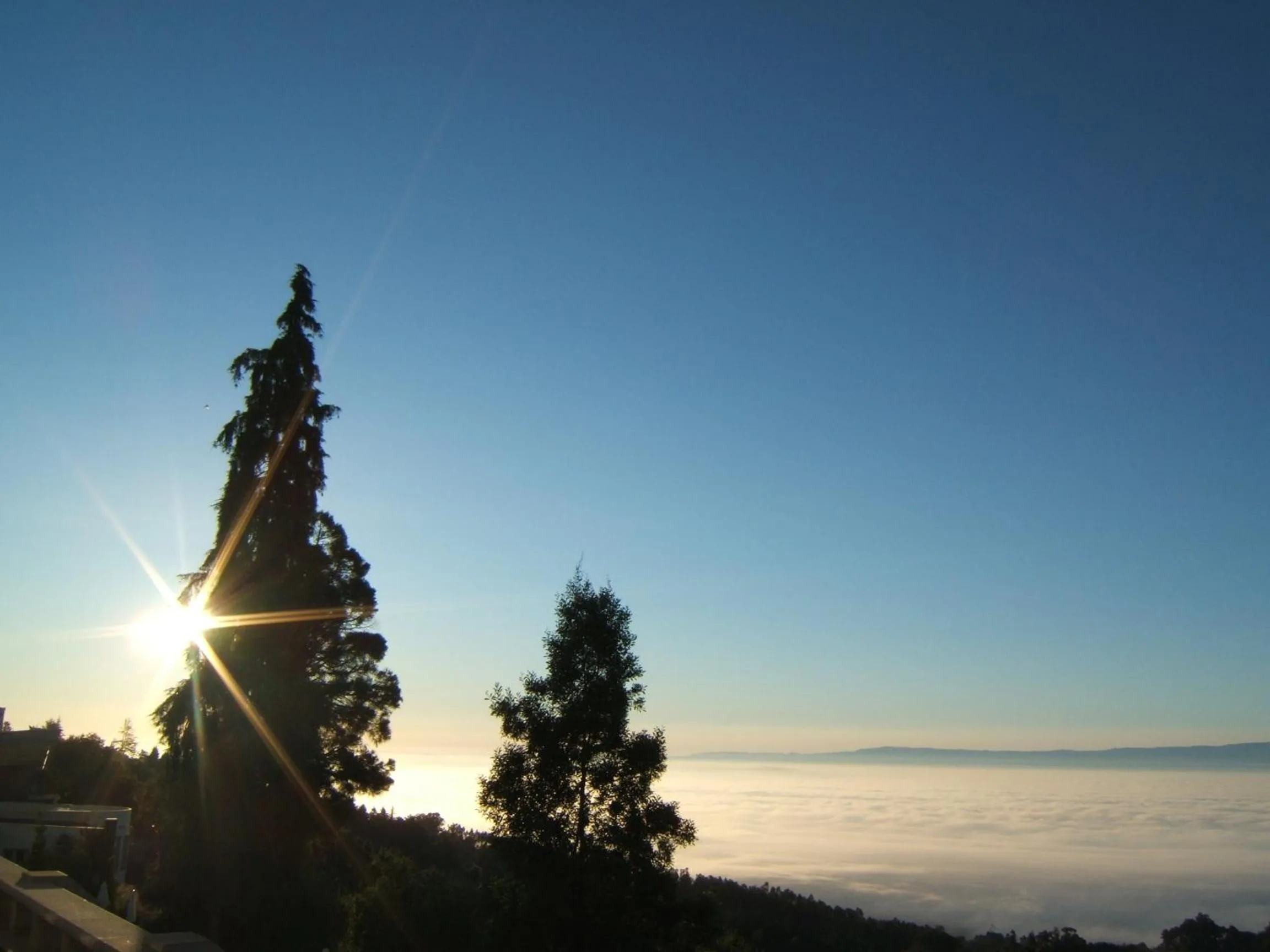 View (from property/room) in Golden Tulip Caramulo