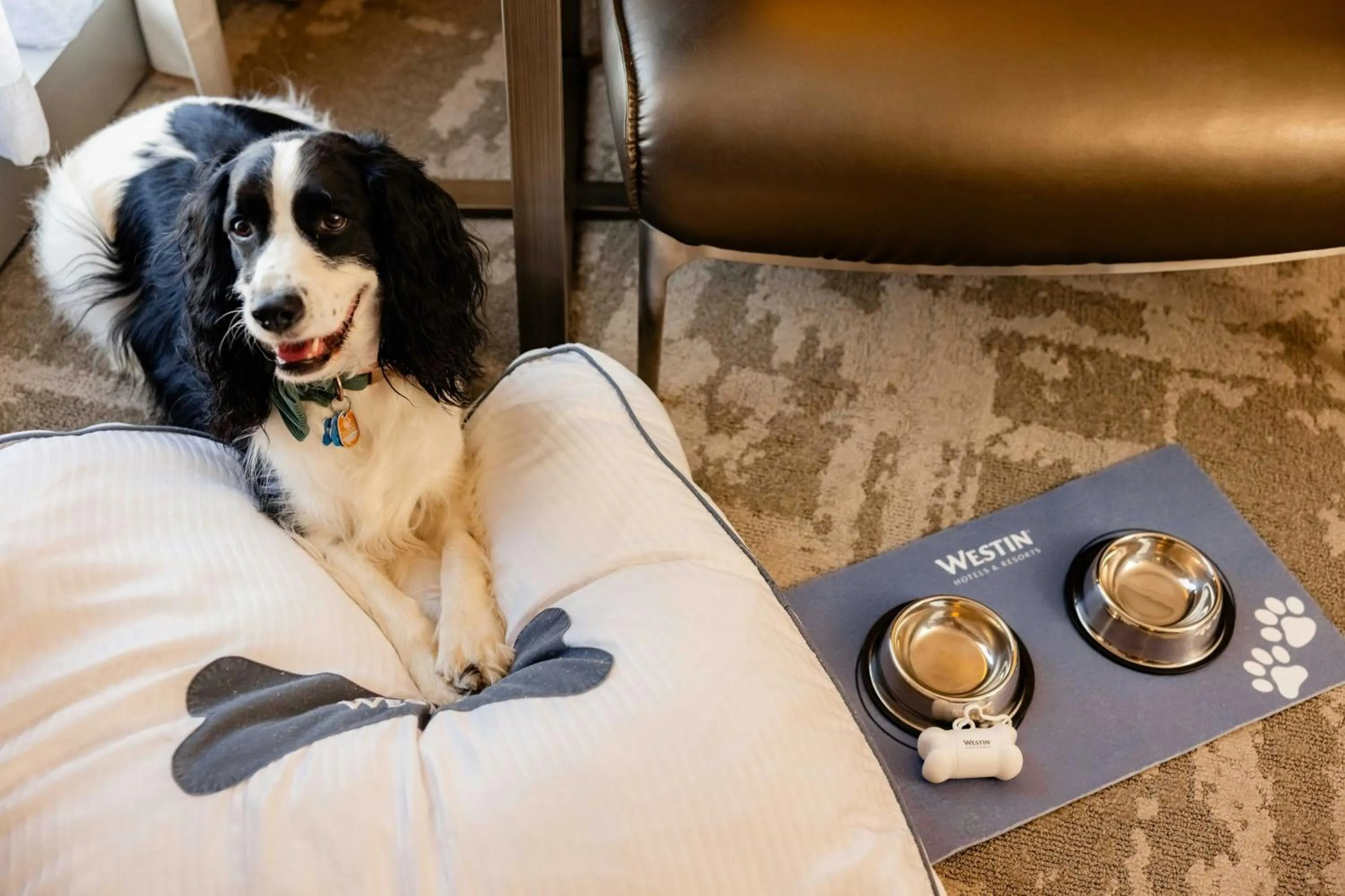 Other in The Westin Irving Convention Center at Las Colinas