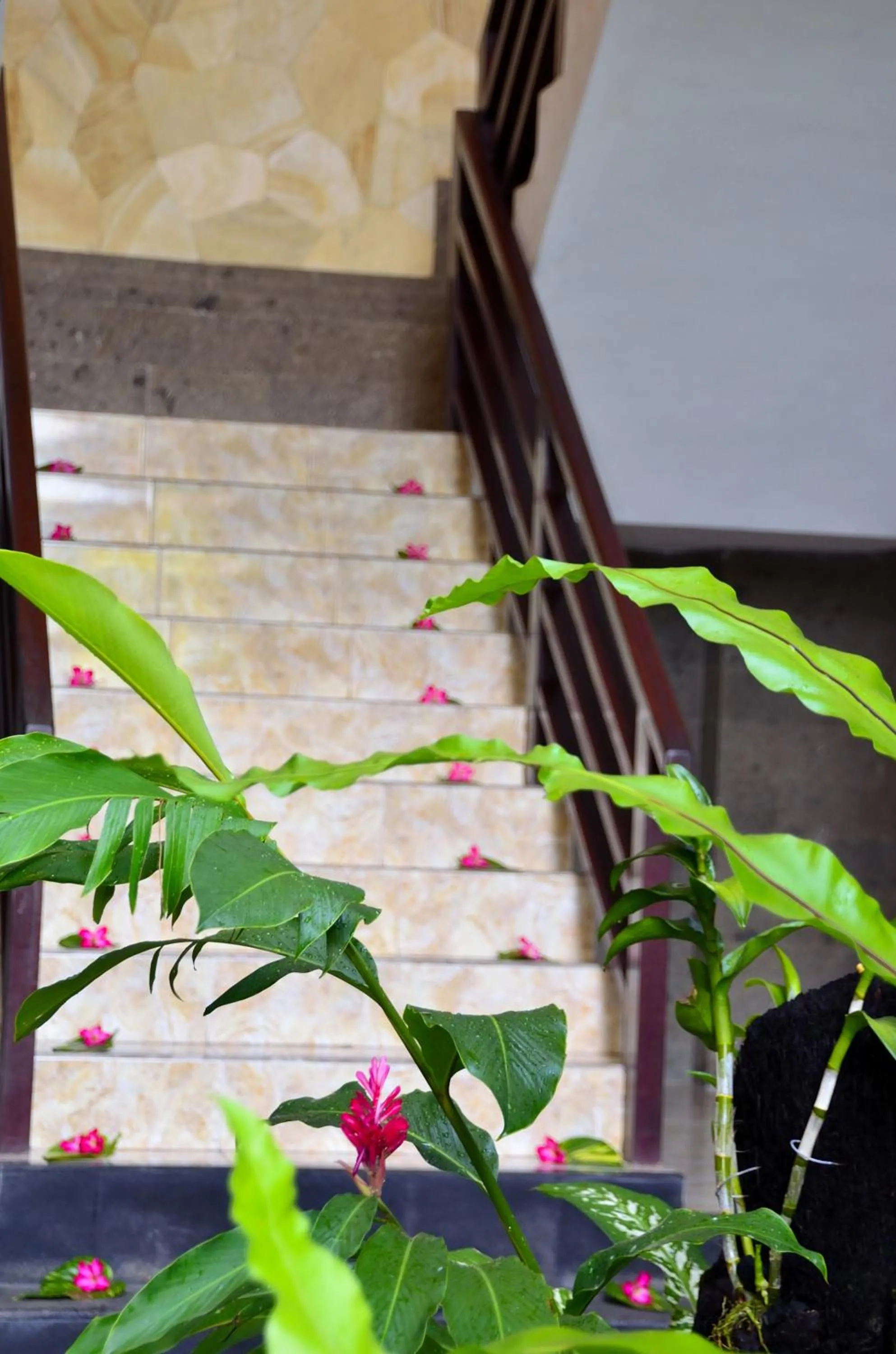 Other in Tanjung Sari Inn